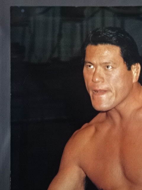Antonio Inoki Large Poster(1)