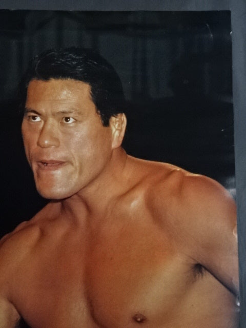 Antonio Inoki Large Poster(1)