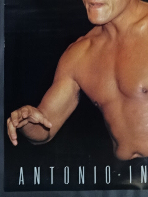 Antonio Inoki Large Poster(1)