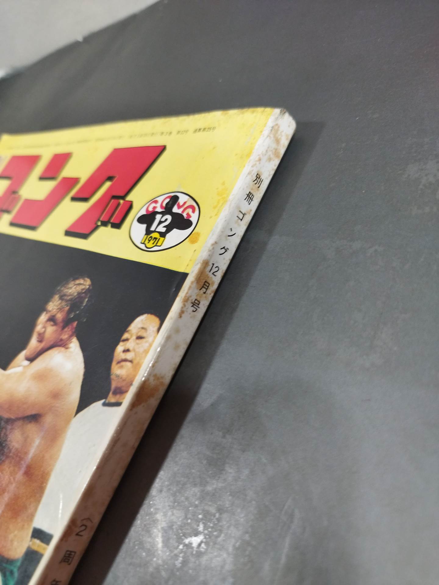 別冊ゴングVol.3 No.12