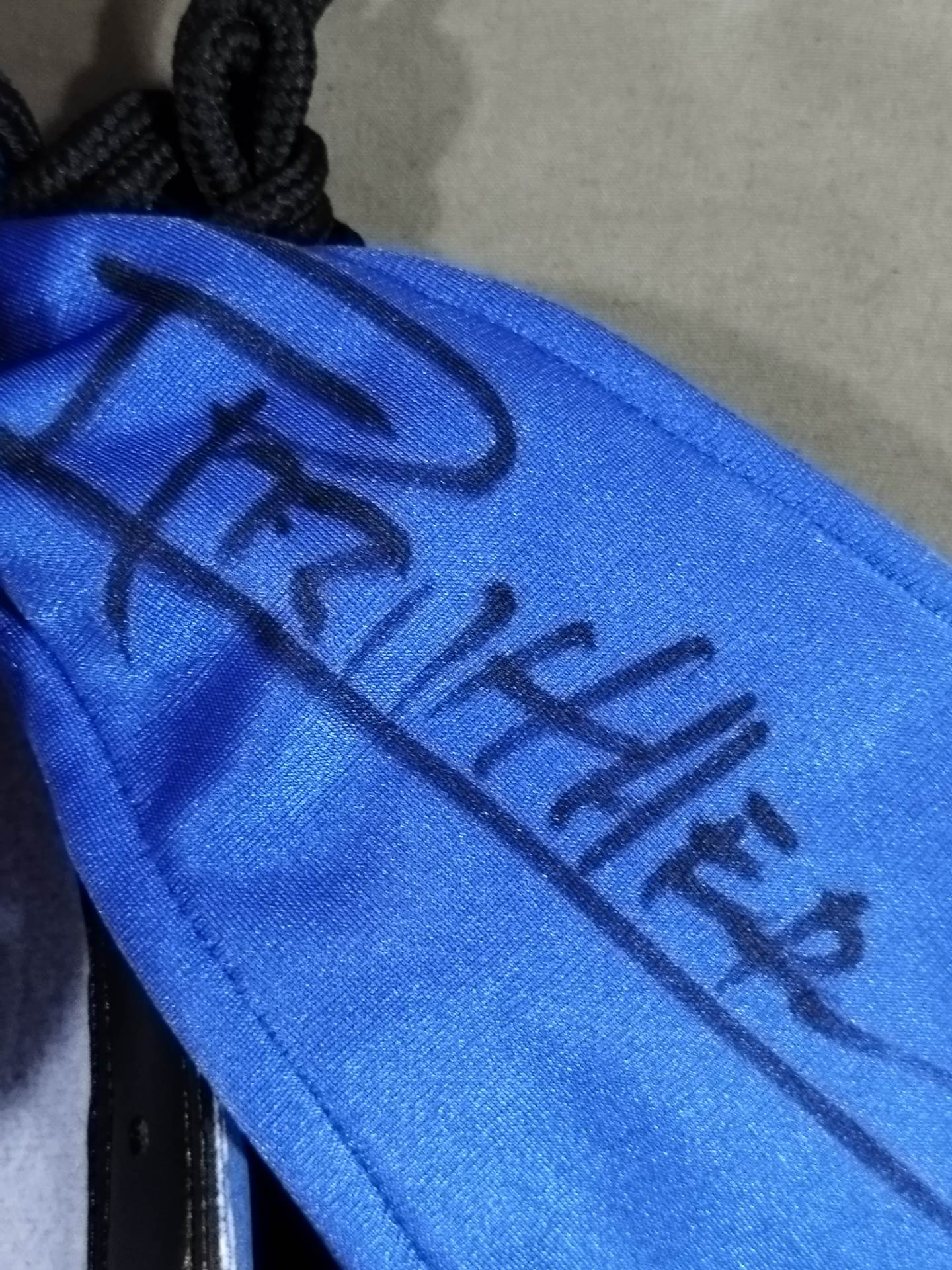 Blue Panther