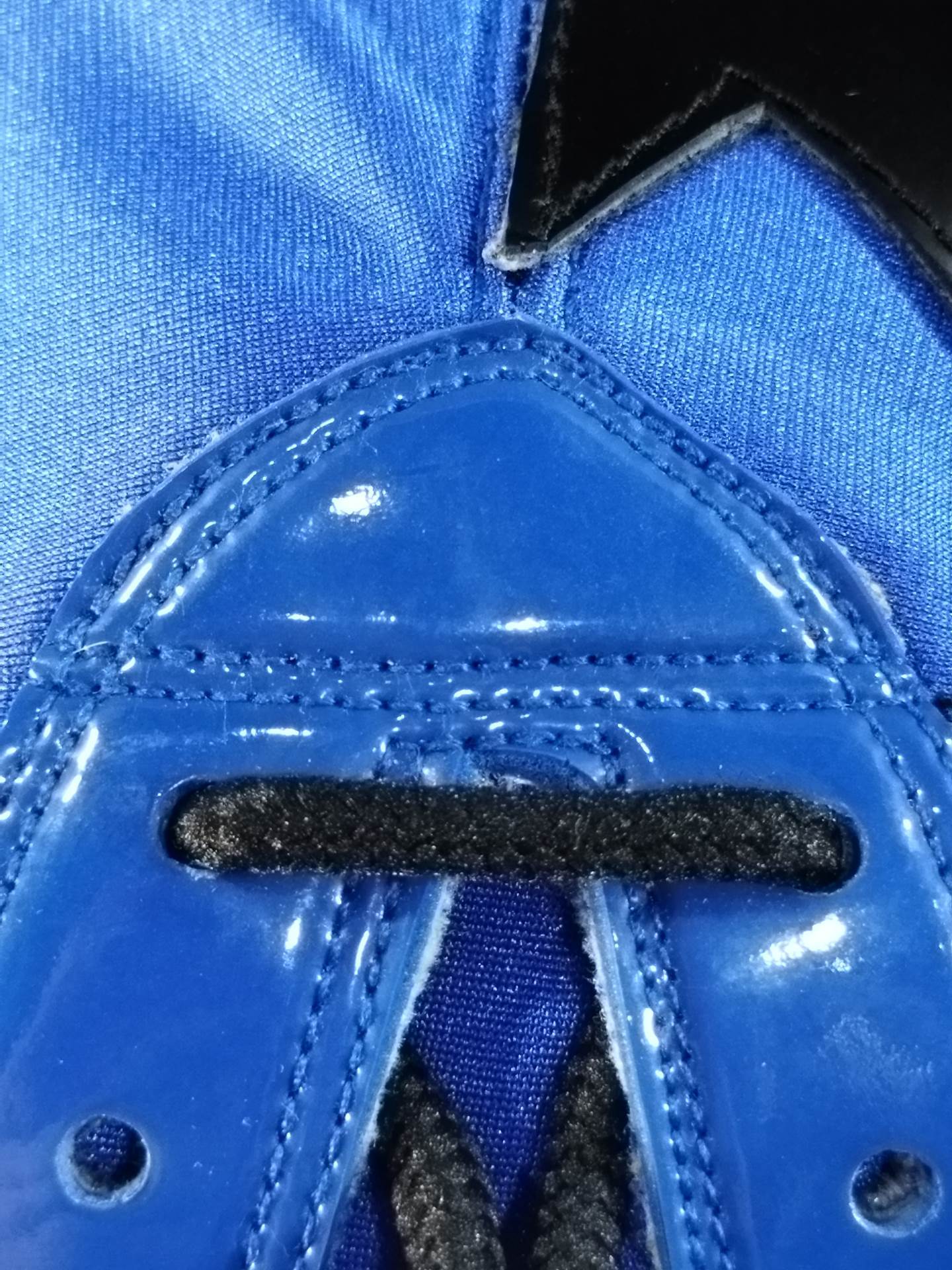 Blue Panther