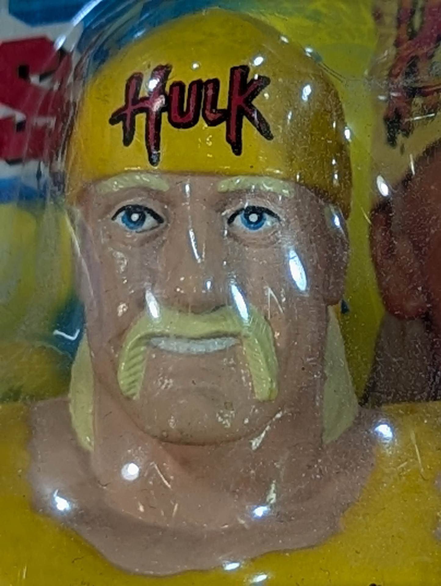 Hulk Hogan (WCW)