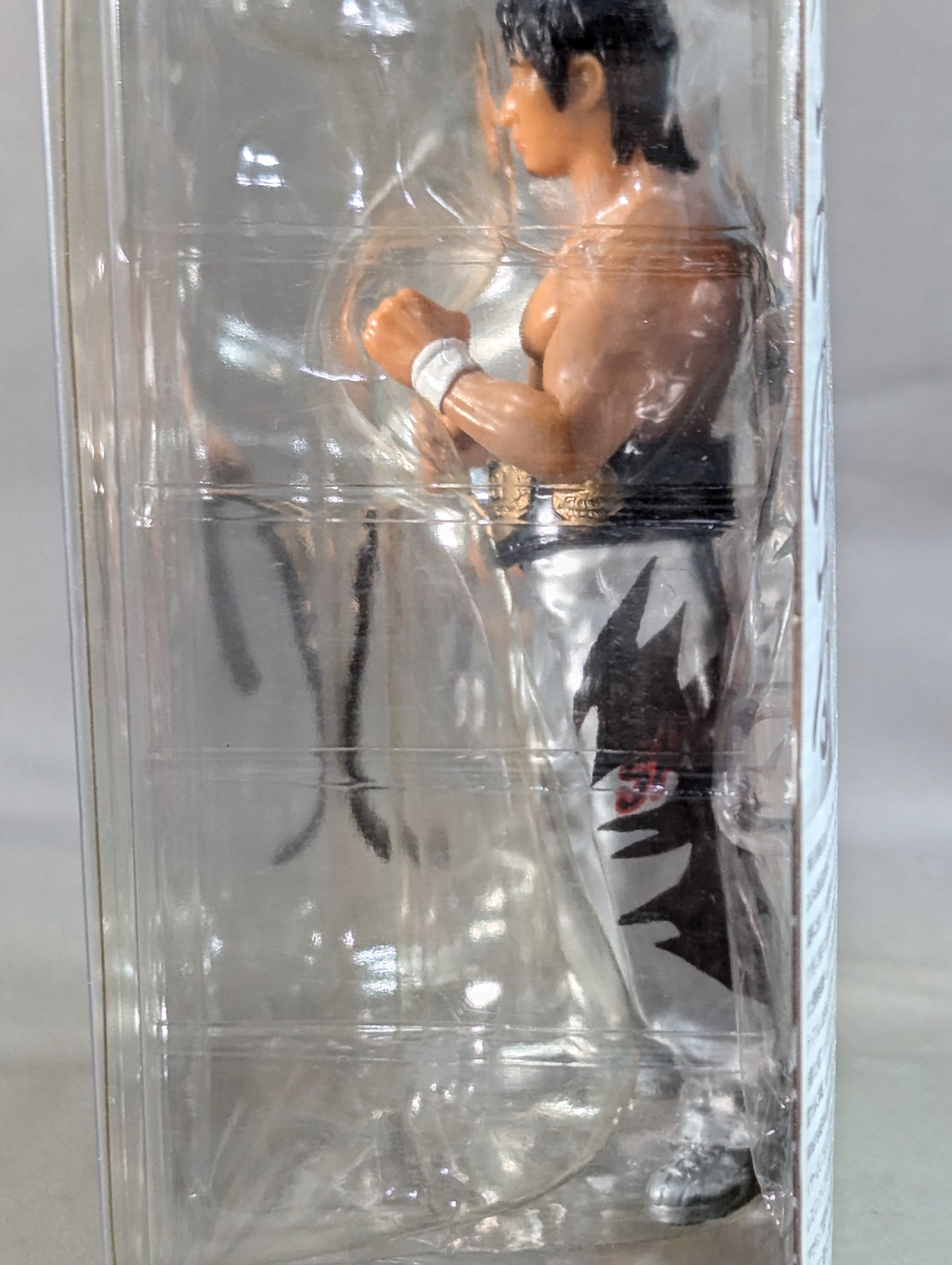 Minoru Suzuki (white) & Naomichi Marufuji (silver)