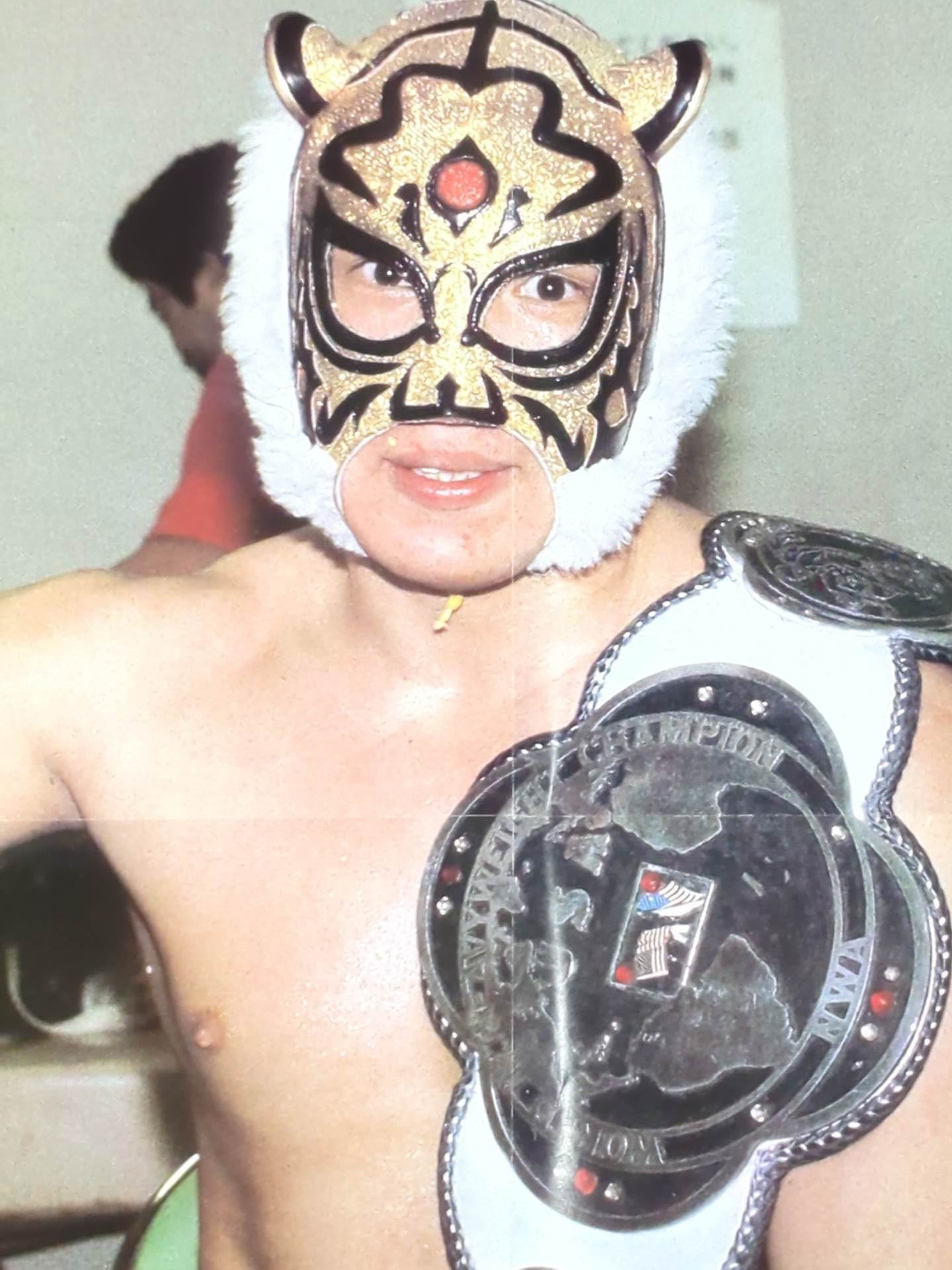 The first Tiger Mask Magazine Appendix Poster