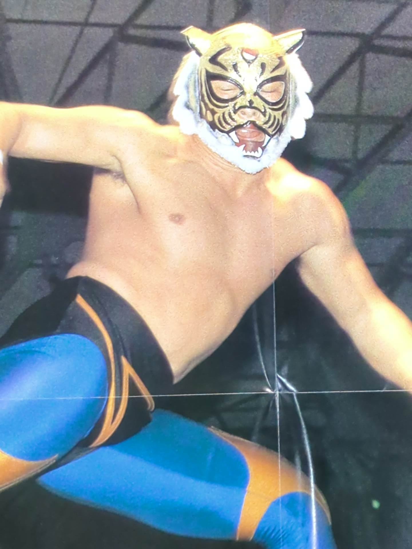 The first Tiger Mask Magazine Appendix Poster