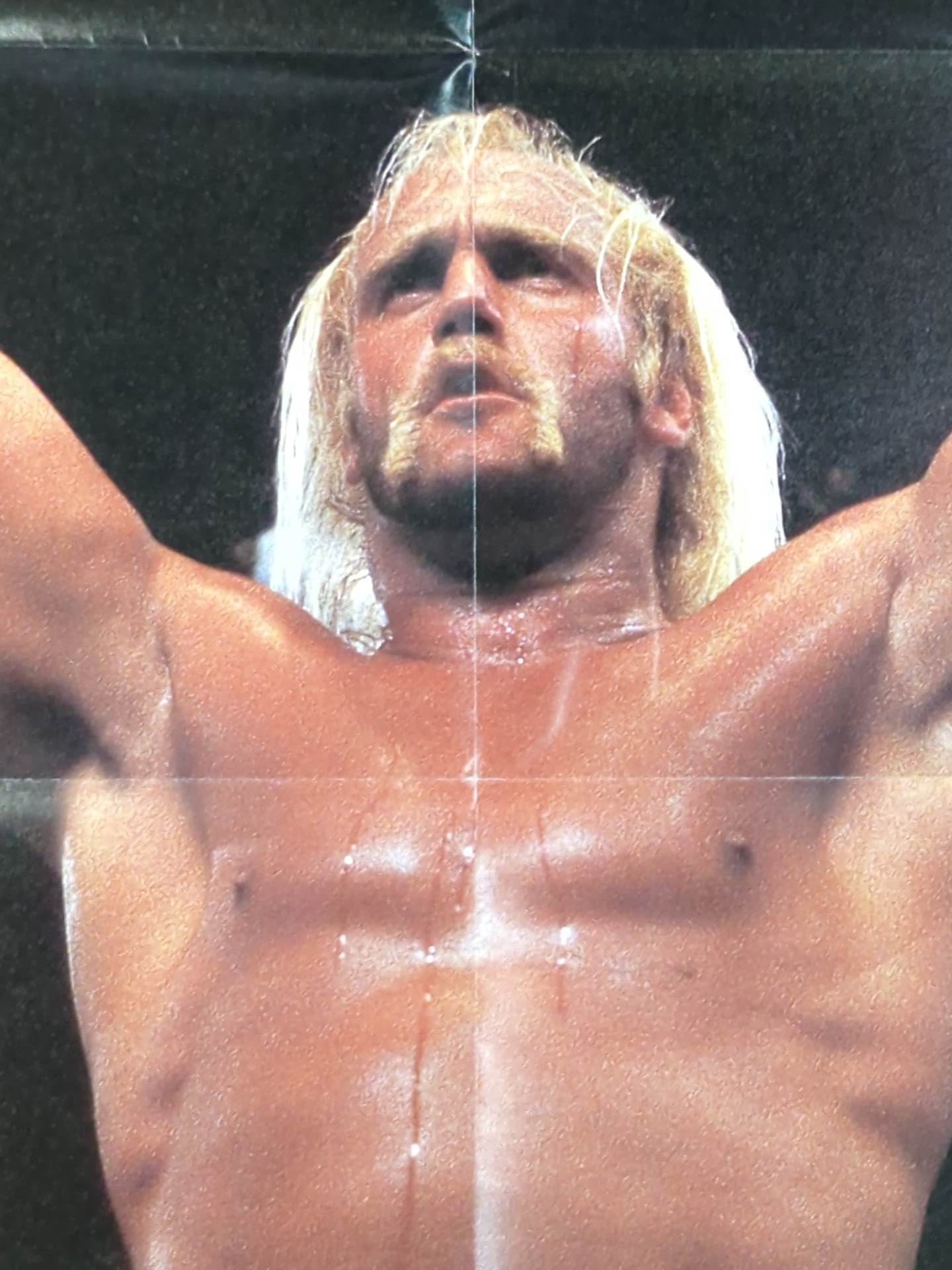 Hulk Hogan Magazine Appendix Poster