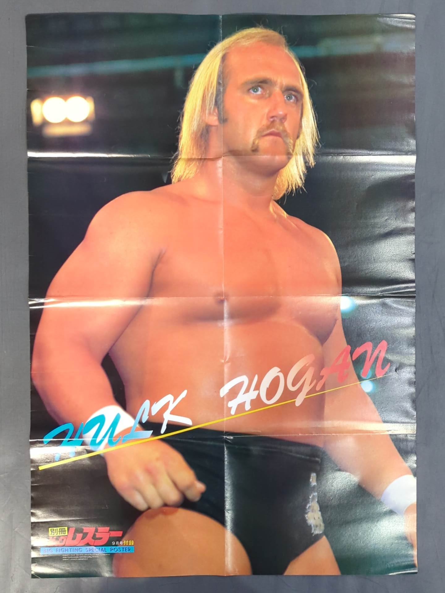Hulk Hogan Magazine Appendix Poster