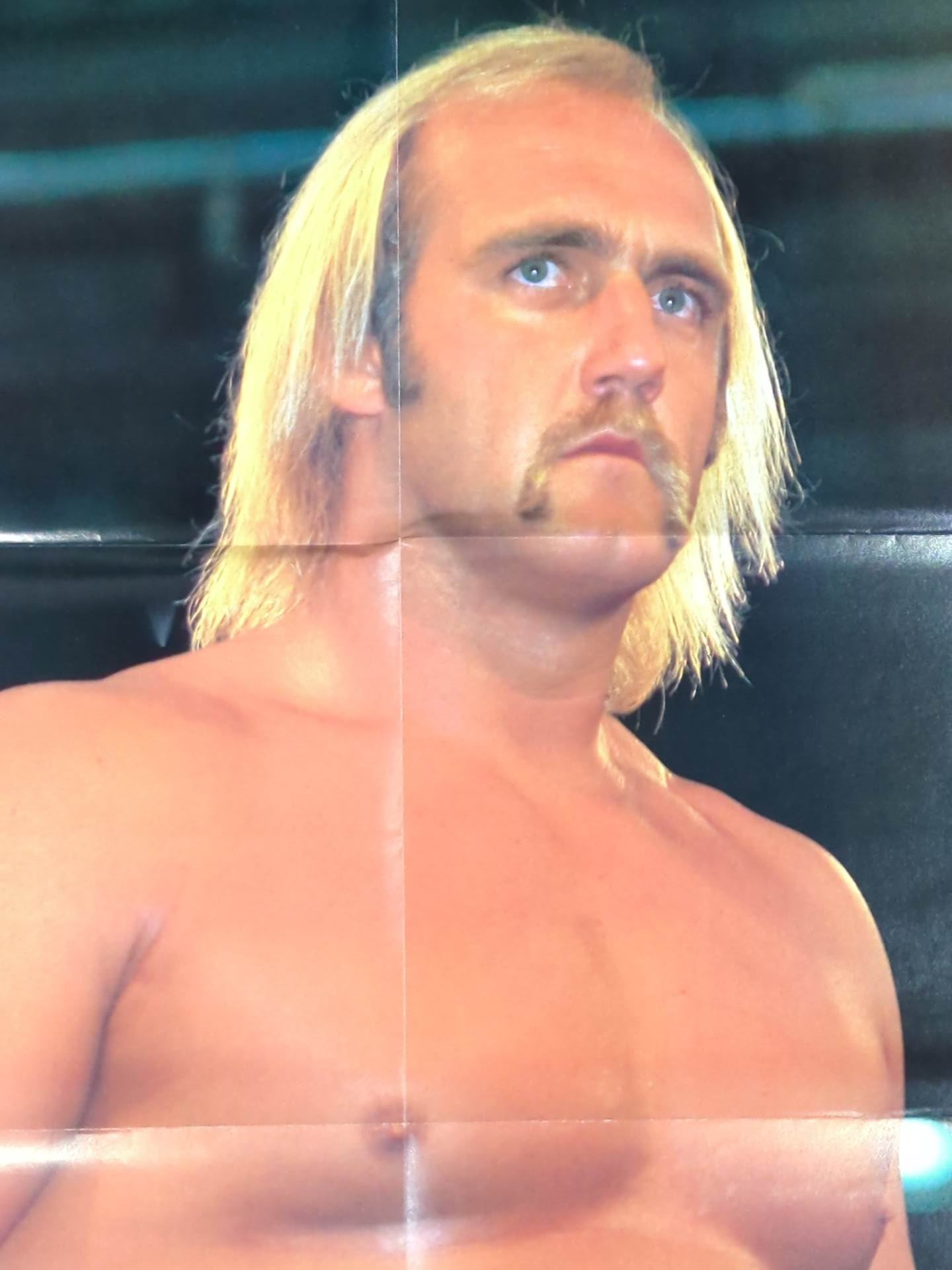 Hulk Hogan Magazine Appendix Poster