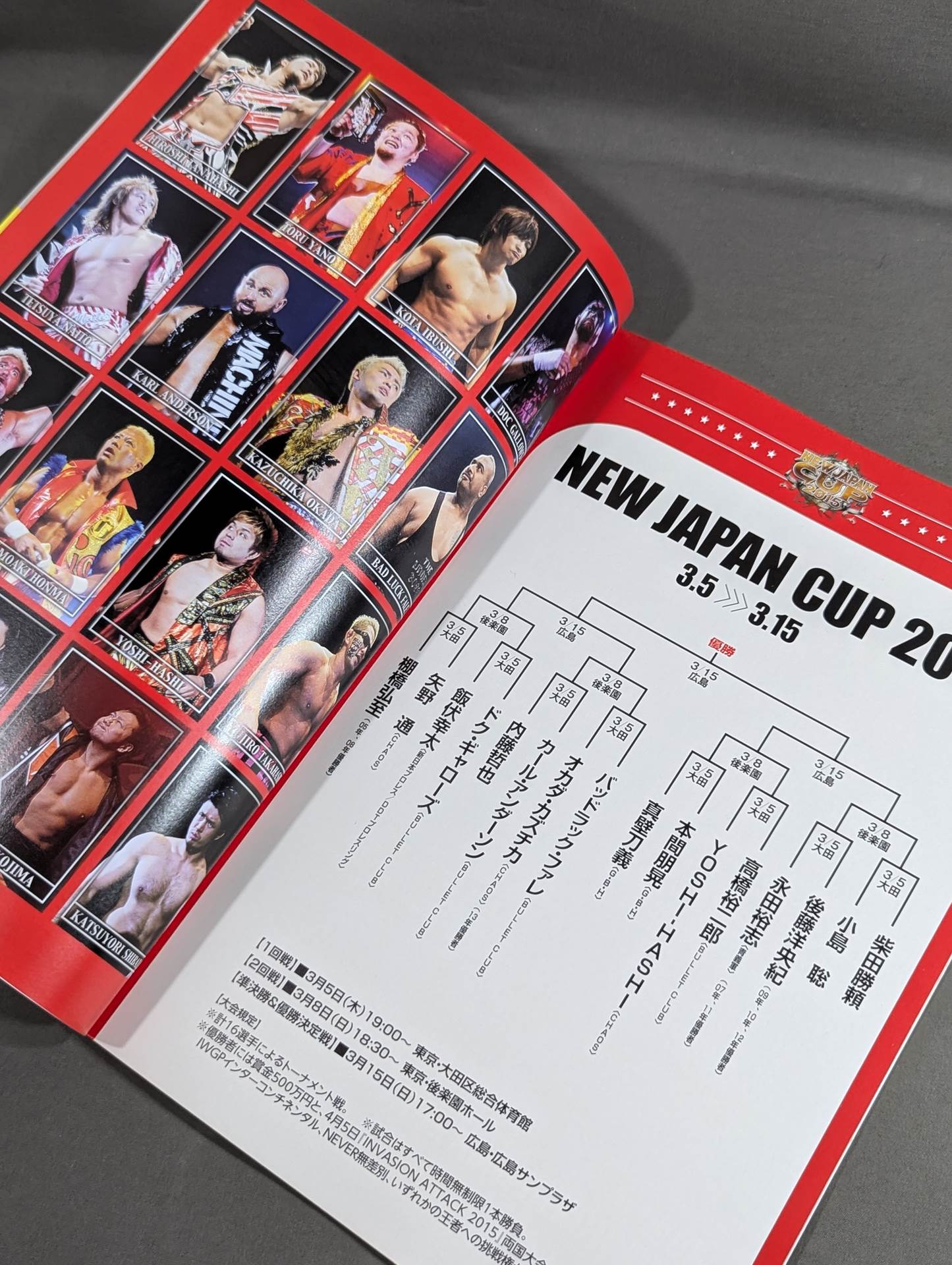 NJPW OFFICIAL MAGAZINE 2015 Vol.2