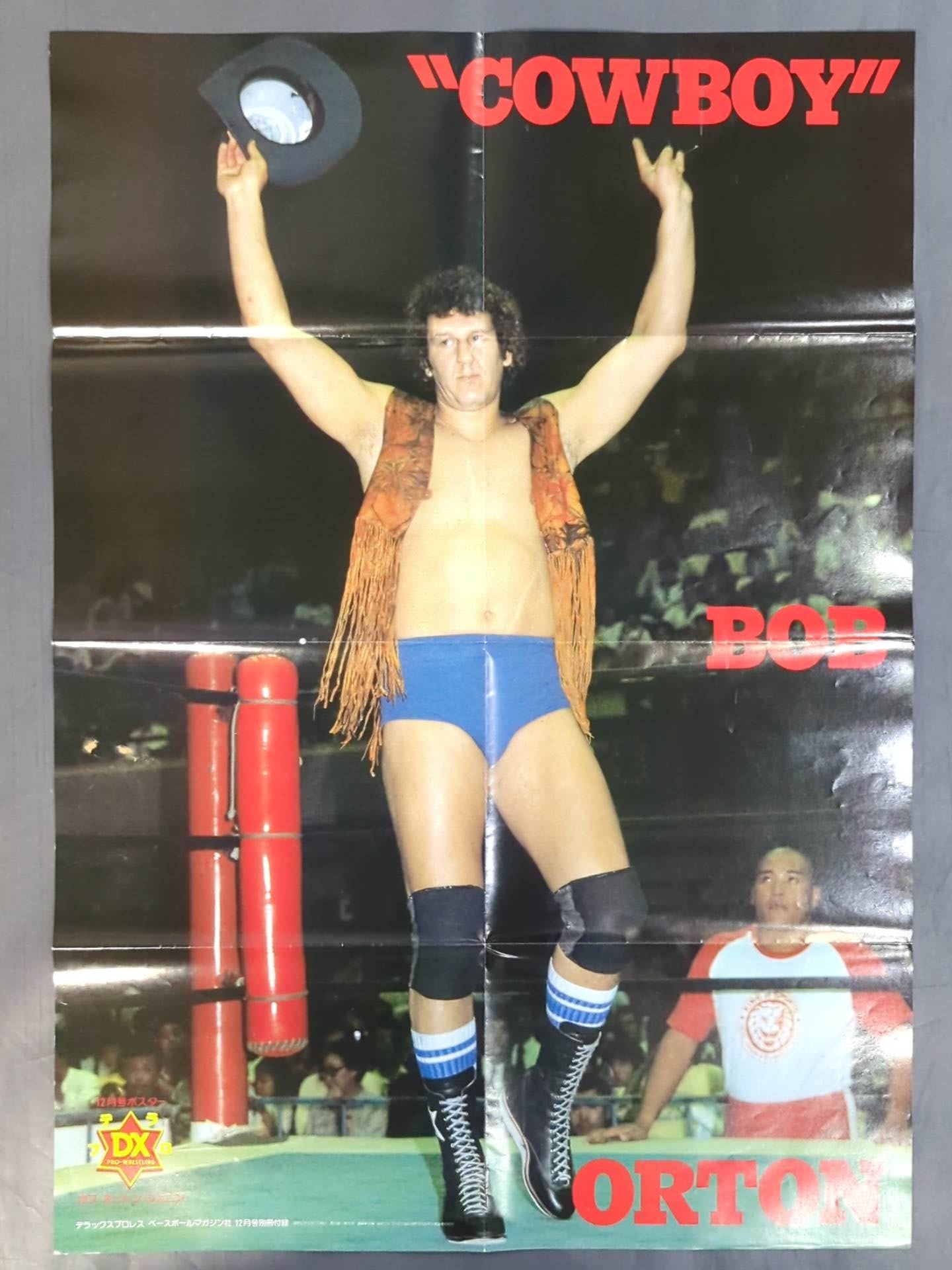 Bob Orton Jr. Magazine Appendix Poster