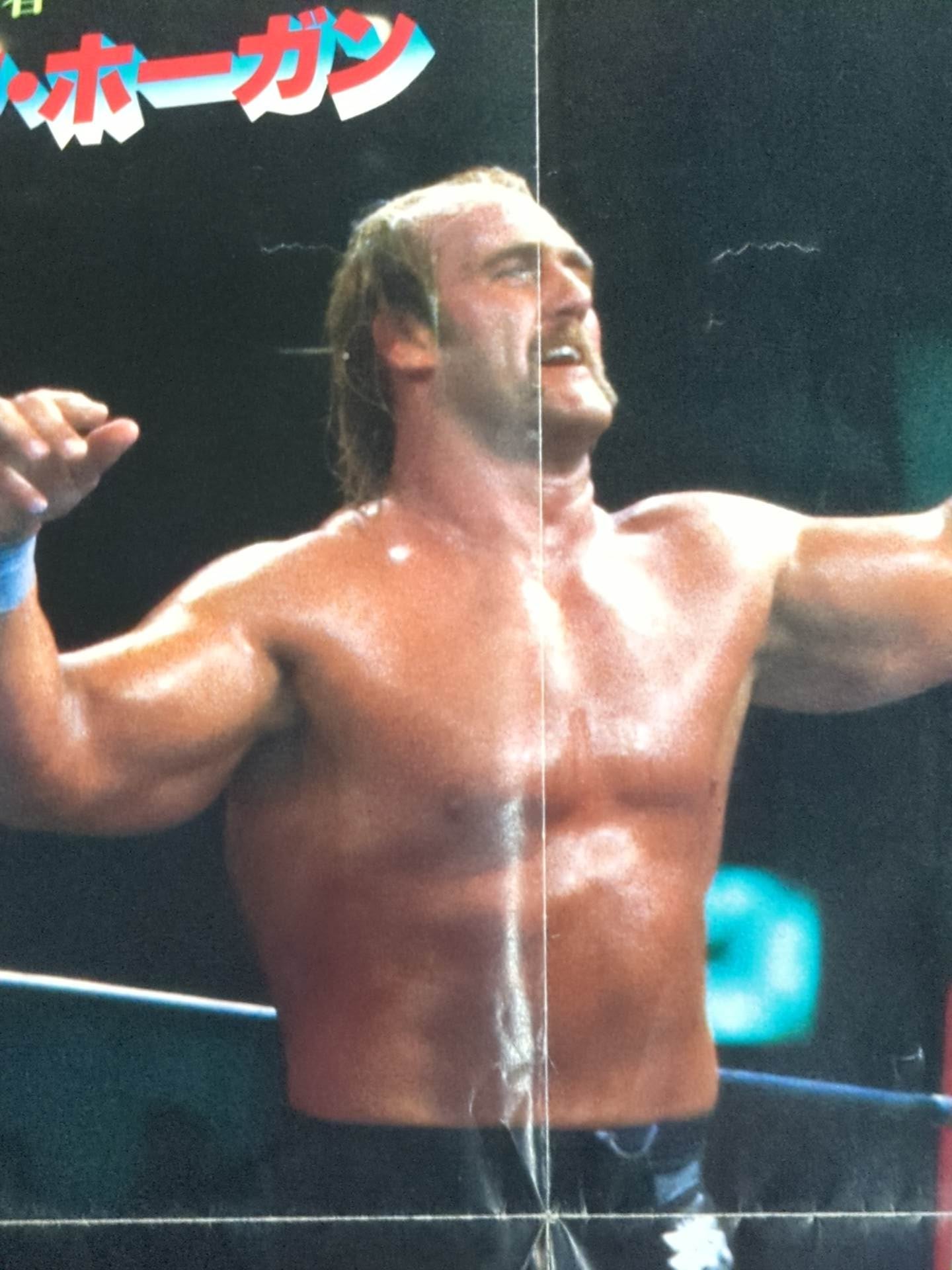 Hulk Hogan Magazine Appendix Poster