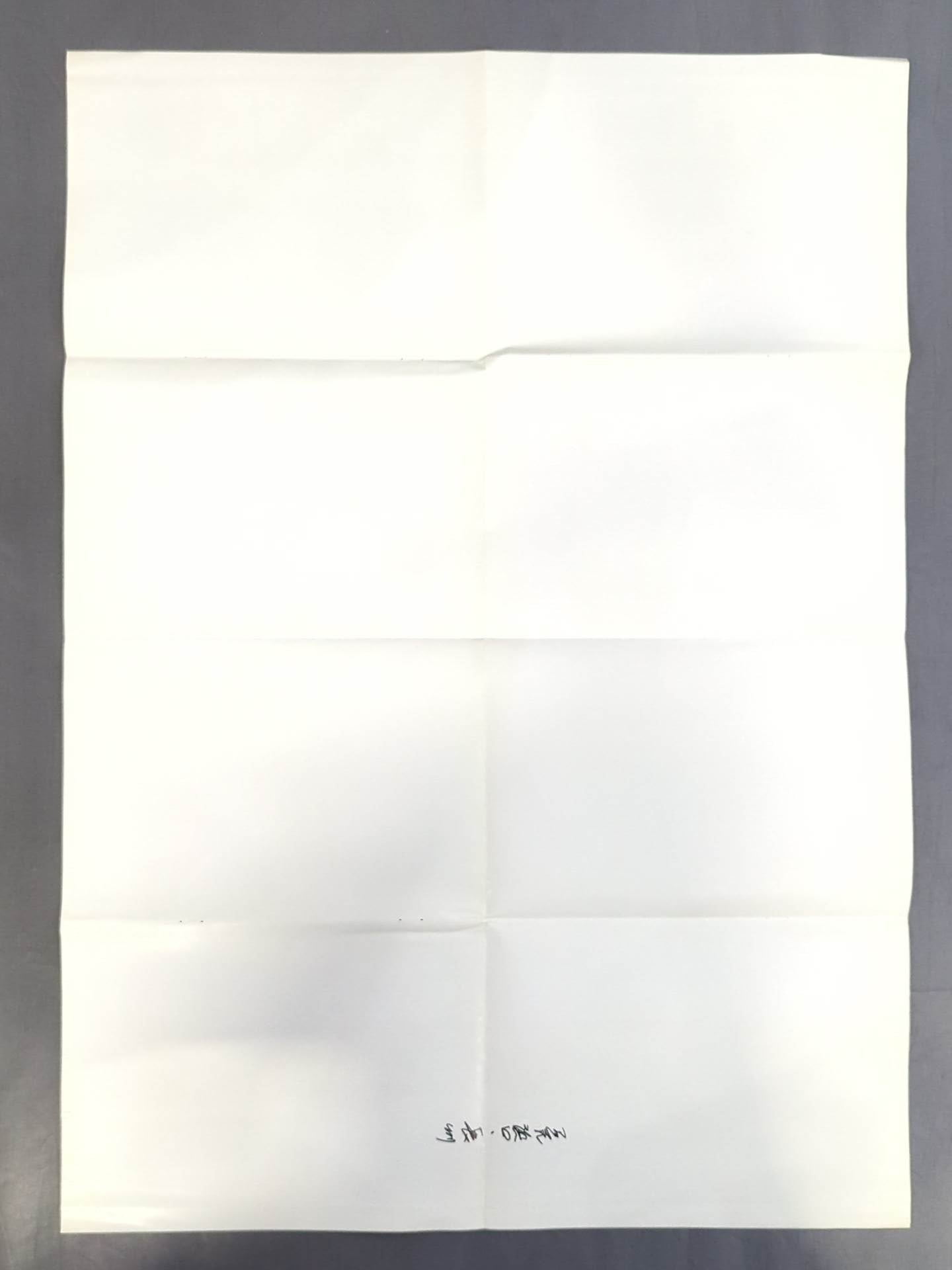 Riki Choshu & Animal Hamaguchi Magazine Appendix Poster