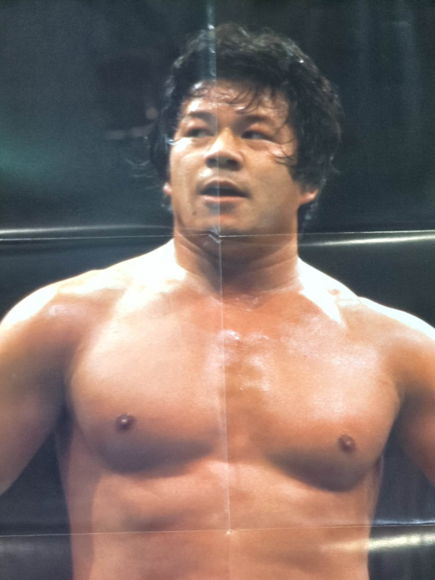 Tatsumi Fujinami Magazine Appendix Poster