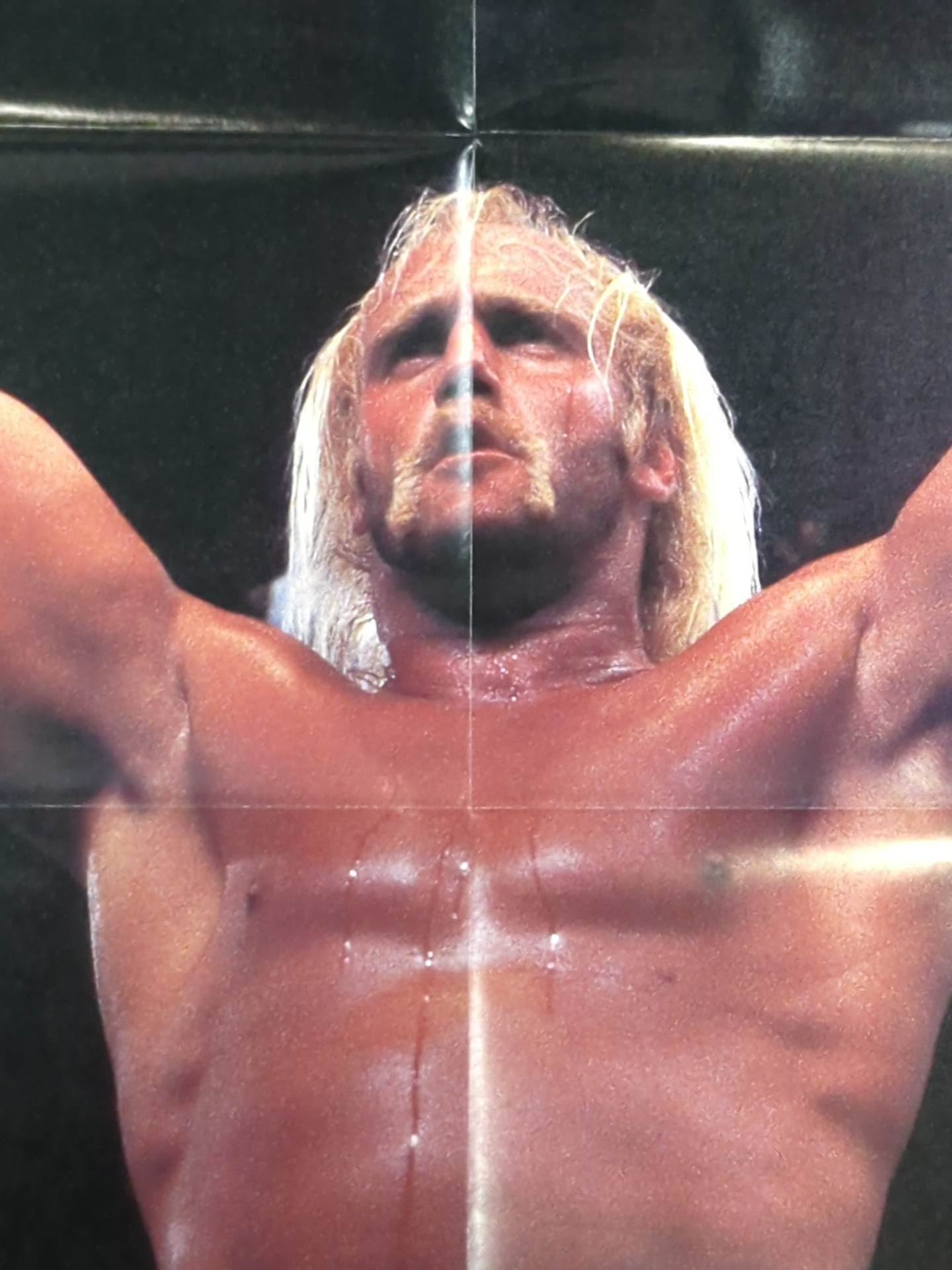 Hulk Hogan Magazine Appendix Poster