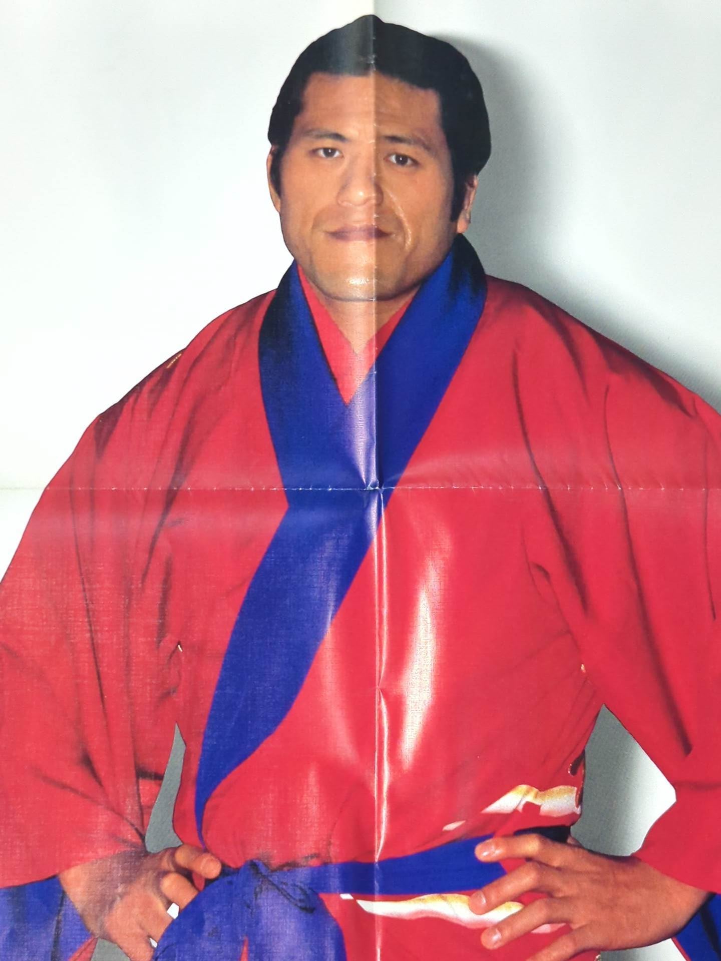 Antonio Inoki Appendix Poster
