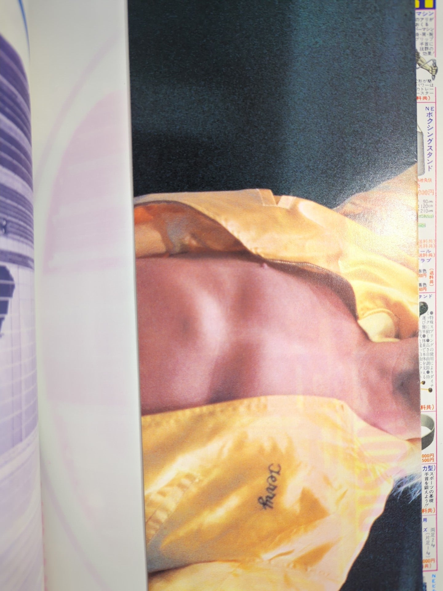 月刊プロレス 1982年6月号