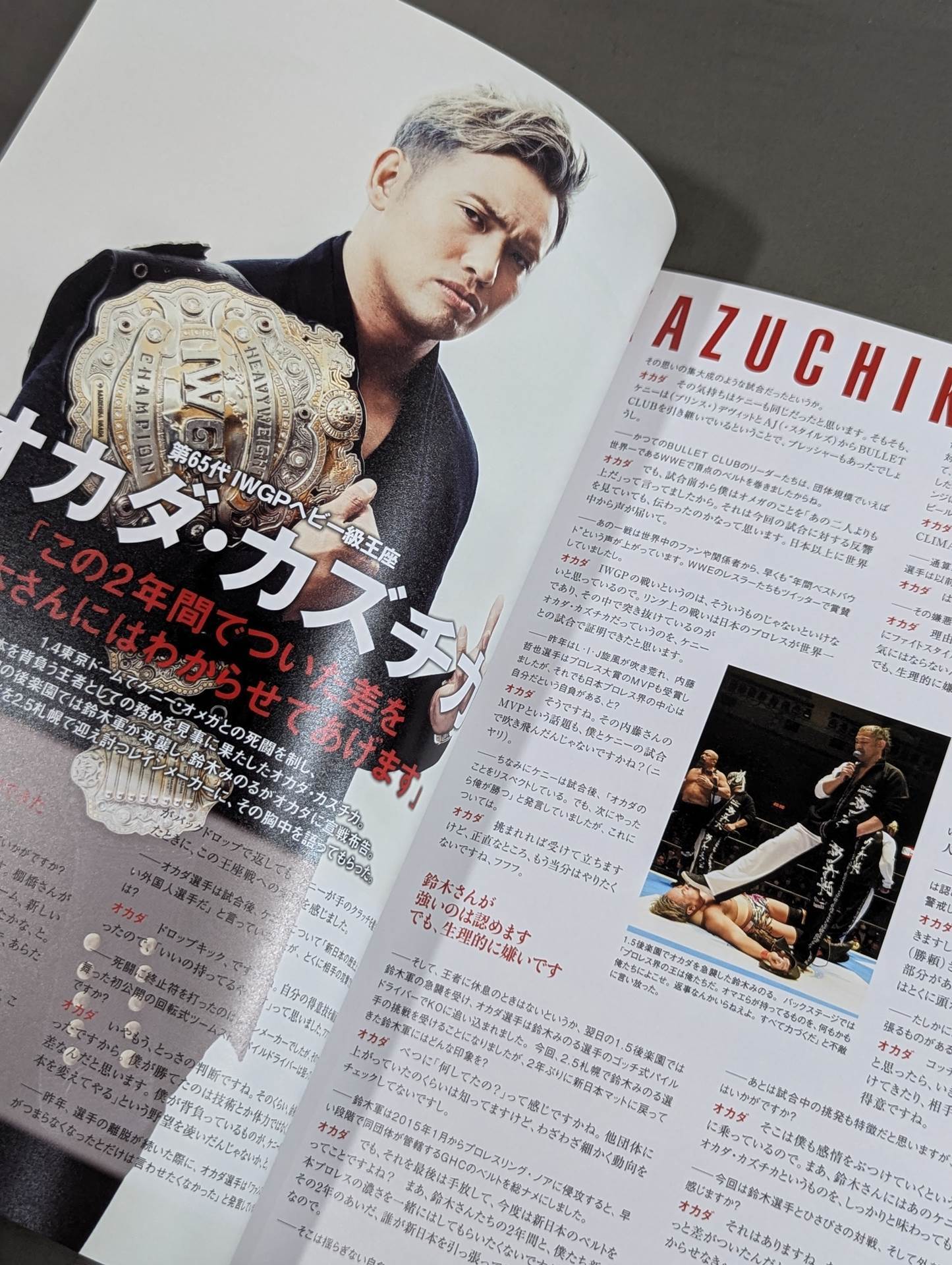 NJPW OFFICIAL MAGAZINE 2017 Vol.1