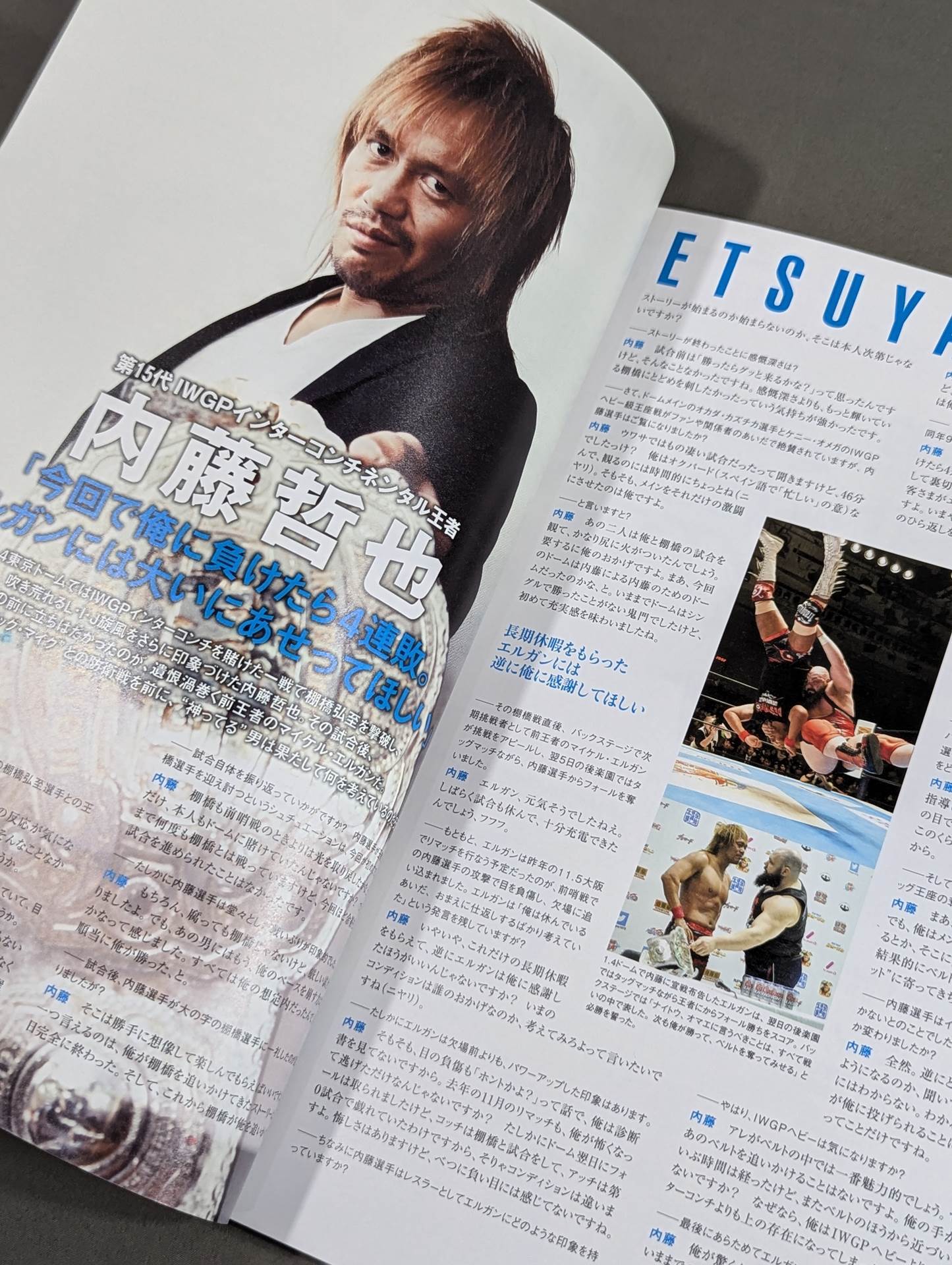 NJPW OFFICIAL MAGAZINE 2017 Vol.1