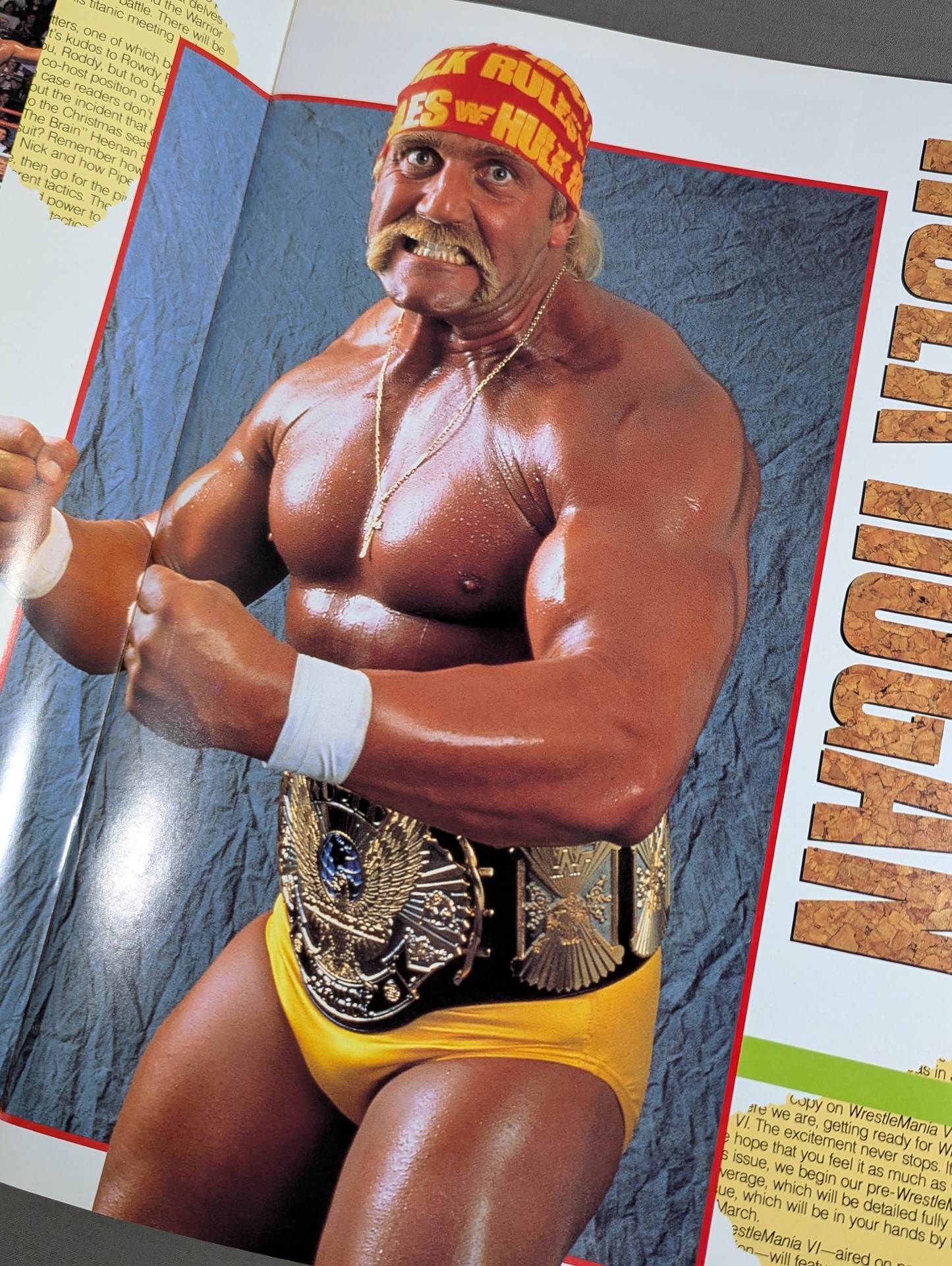 WWF, All Japan, New Japan Pro Wrestling / Japan-US Wrestling Summit
