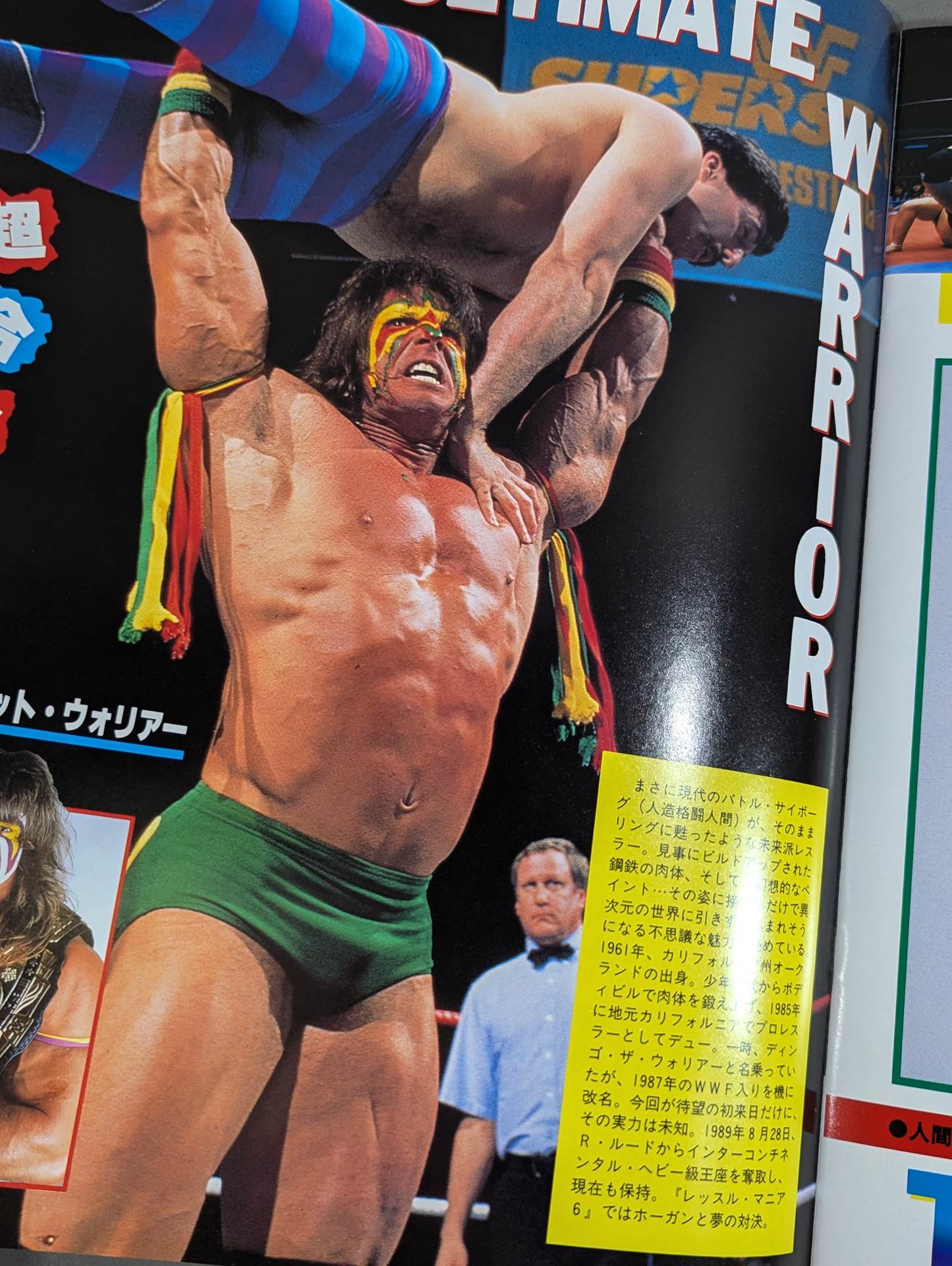 WWF, All Japan, New Japan Pro Wrestling / Japan-US Wrestling Summit
