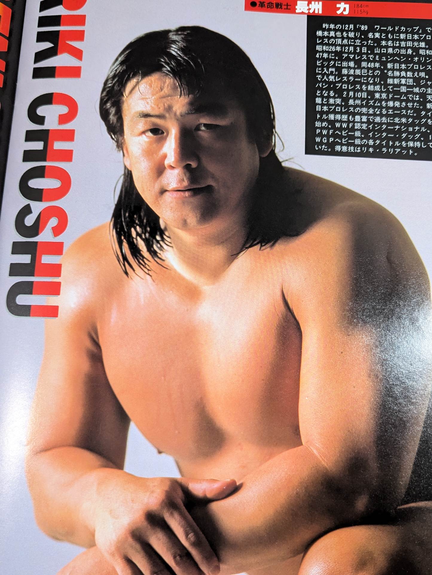 WWF, All Japan, New Japan Pro Wrestling / Japan-US Wrestling Summit