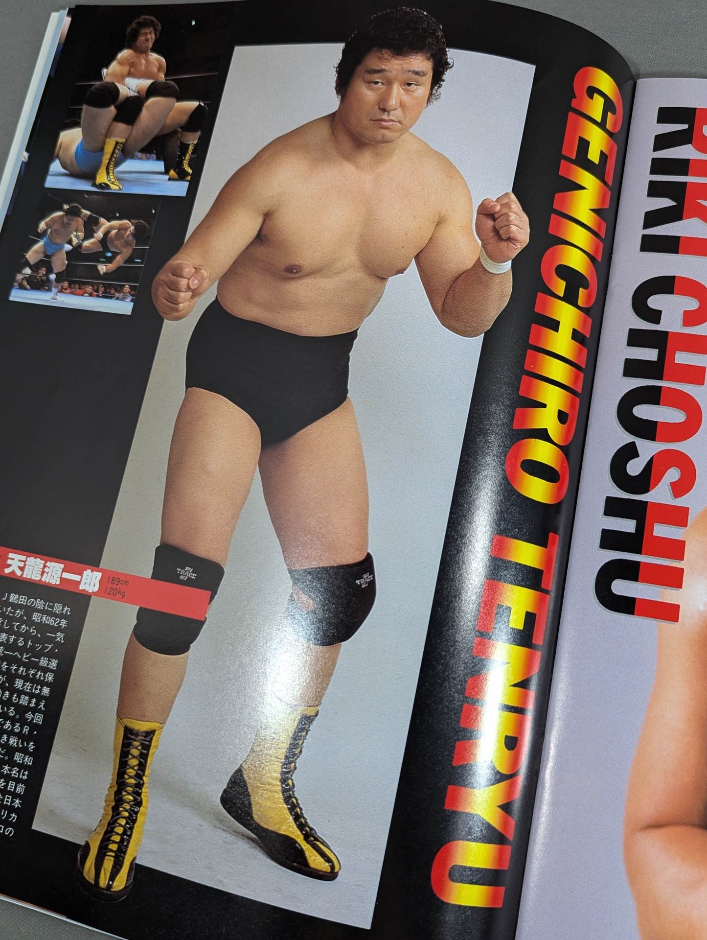WWF, All Japan, New Japan Pro Wrestling / Japan-US Wrestling Summit