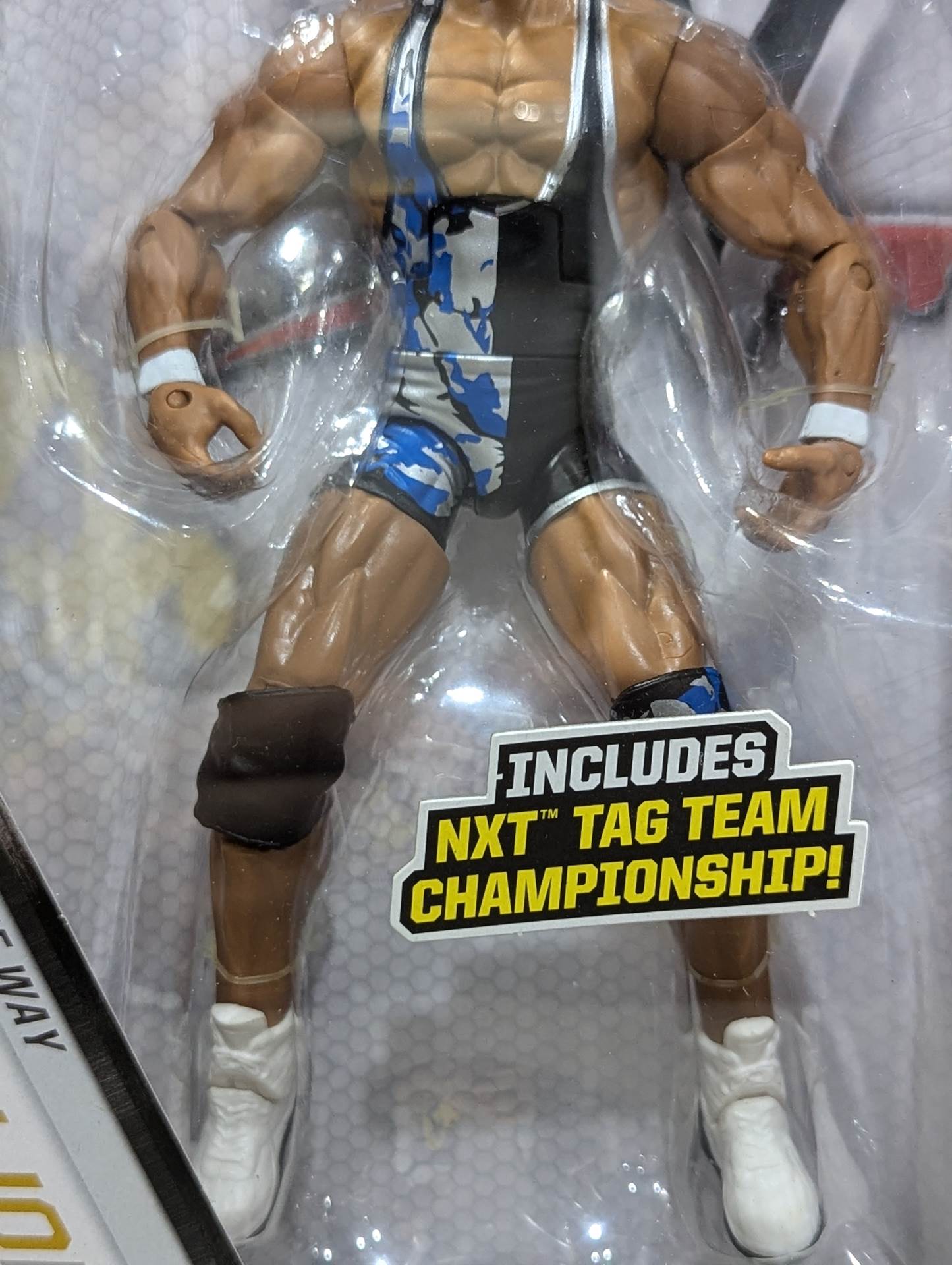 Jason Jordan (black× blue× silver singlet)