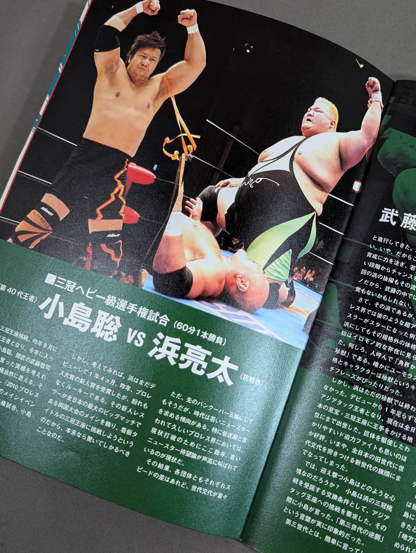 2010プロレスLOVE in 両国 Vol.9