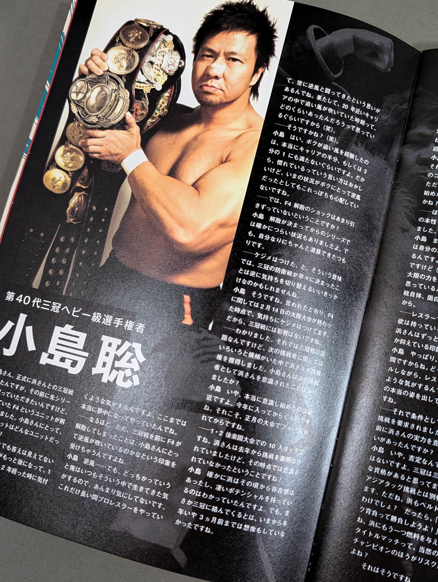 2010プロレスLOVE in 両国 Vol.9