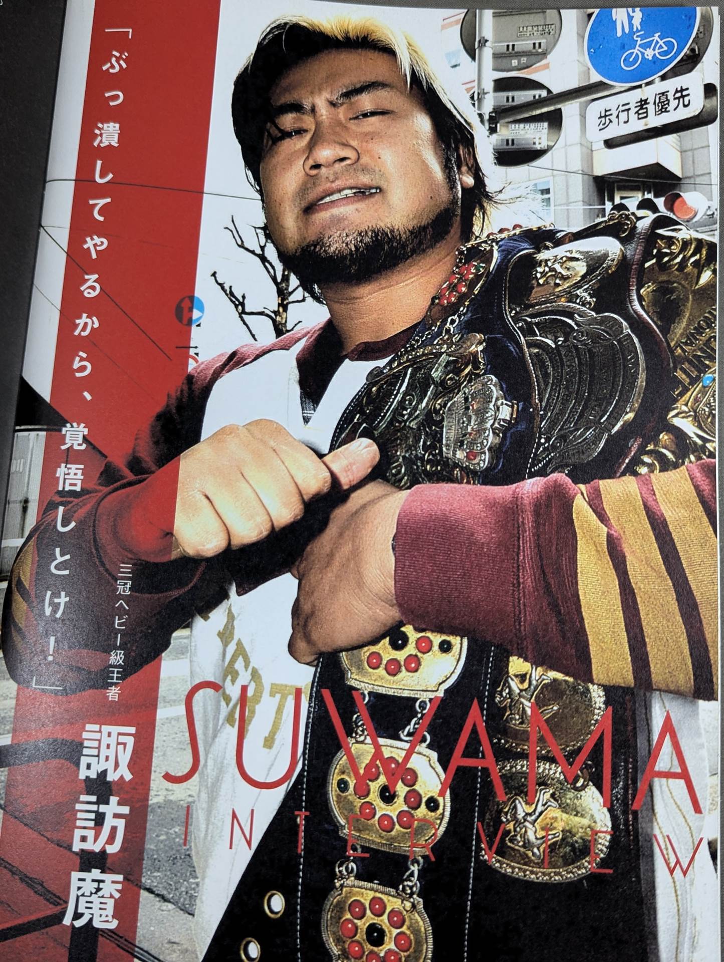2011プロレスLOVE in 両国 vol.11