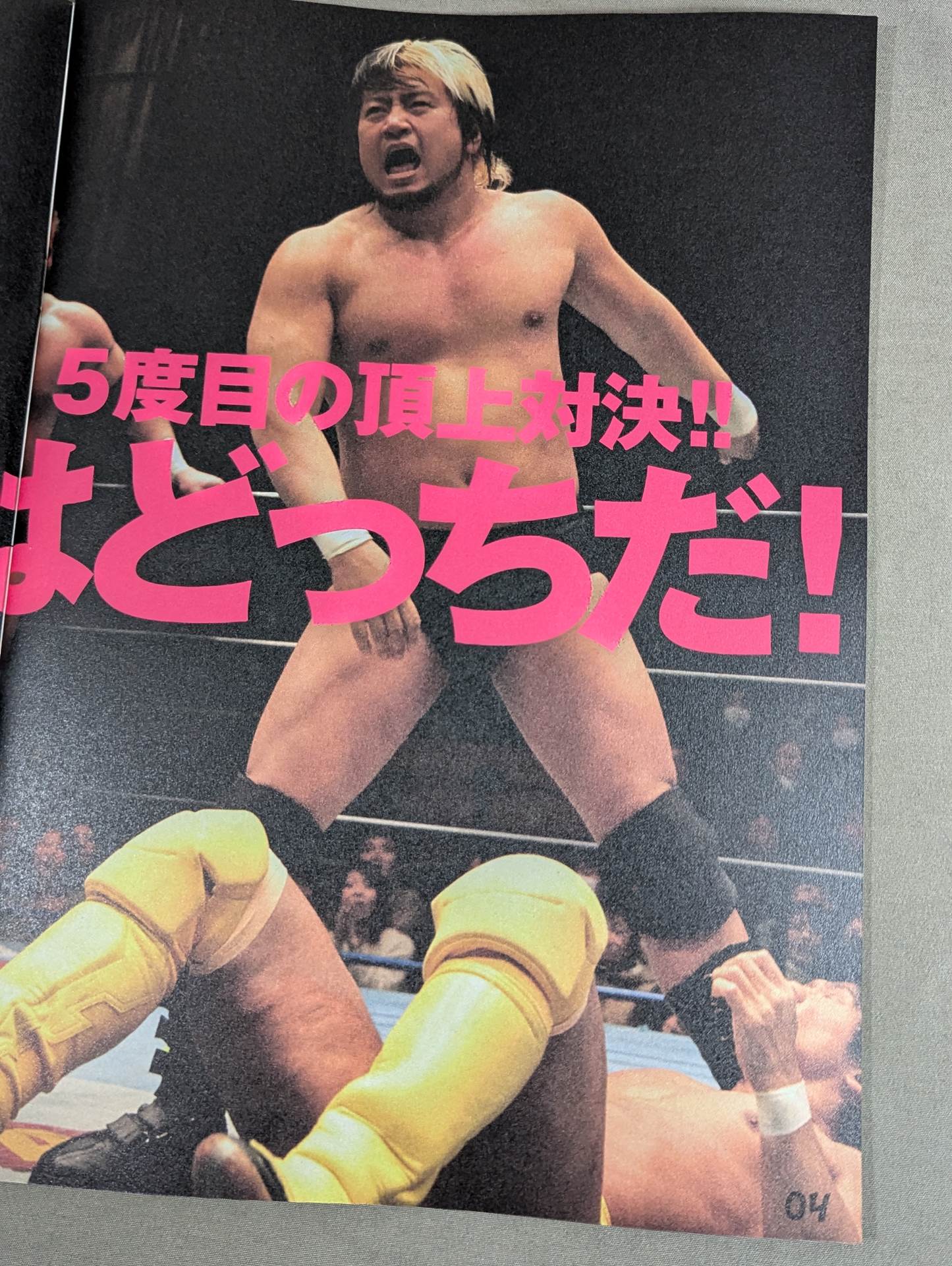 2013プロレスLOVE in 両国 BASIC&DYNAMIC