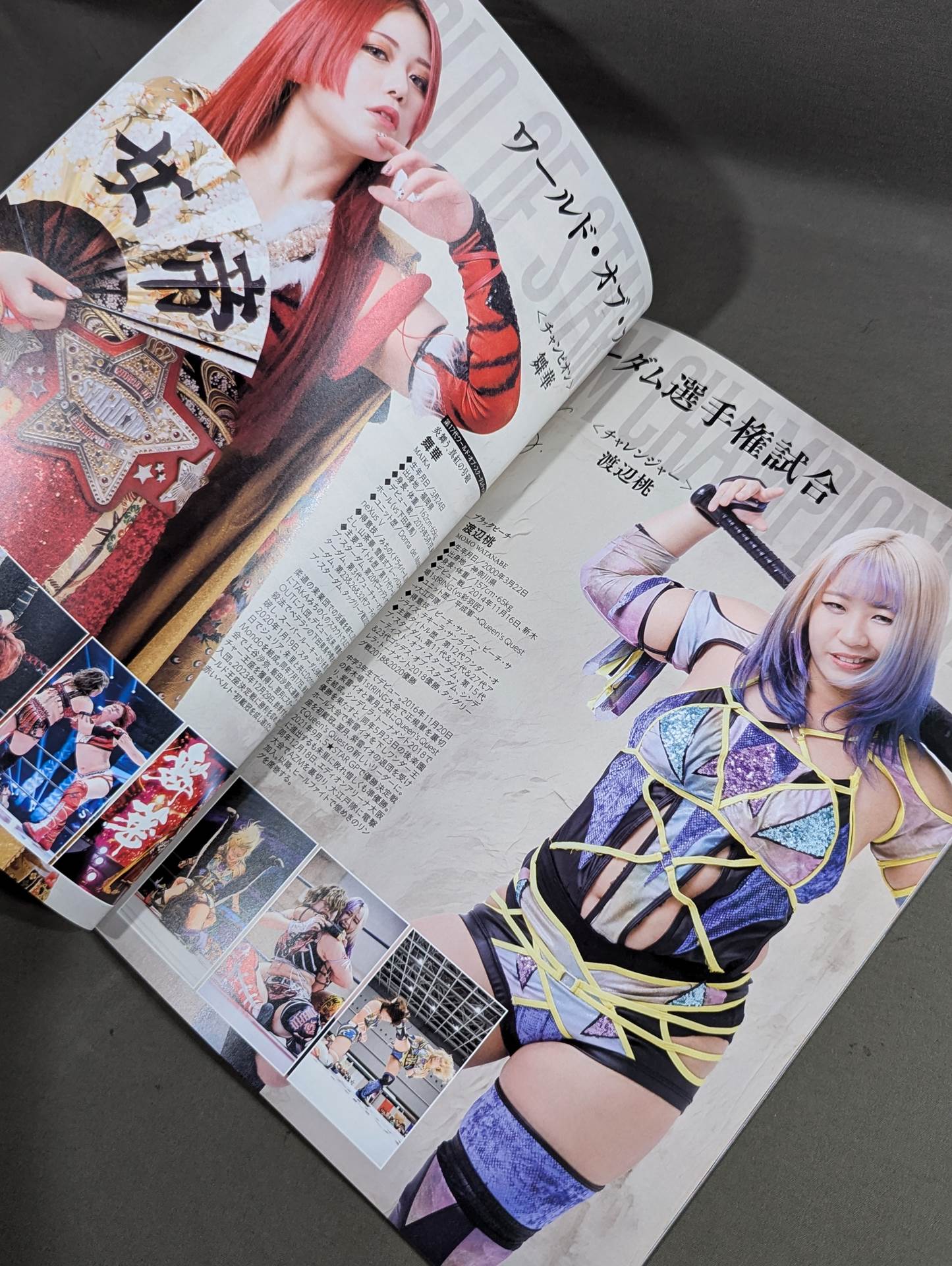 STARDOM OFFICIAL GUIDE BOOK Vol.151