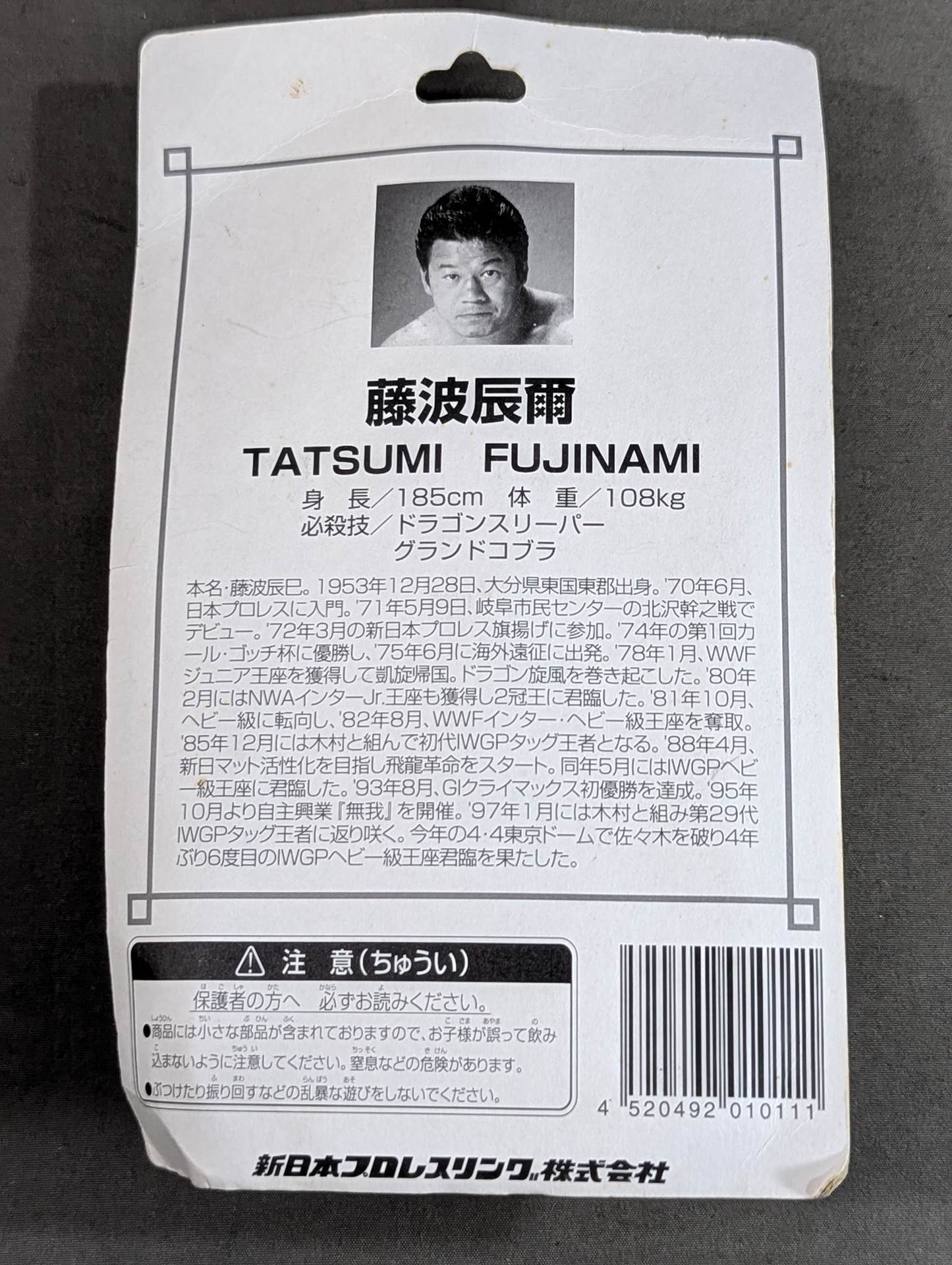 Tatsumi Fujinami