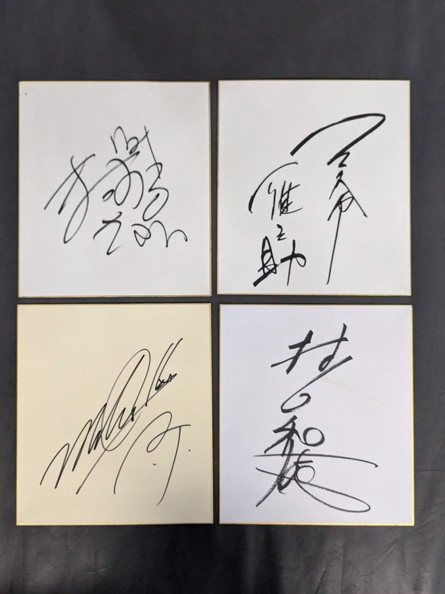 国内プロレスラー サイン色紙セット②