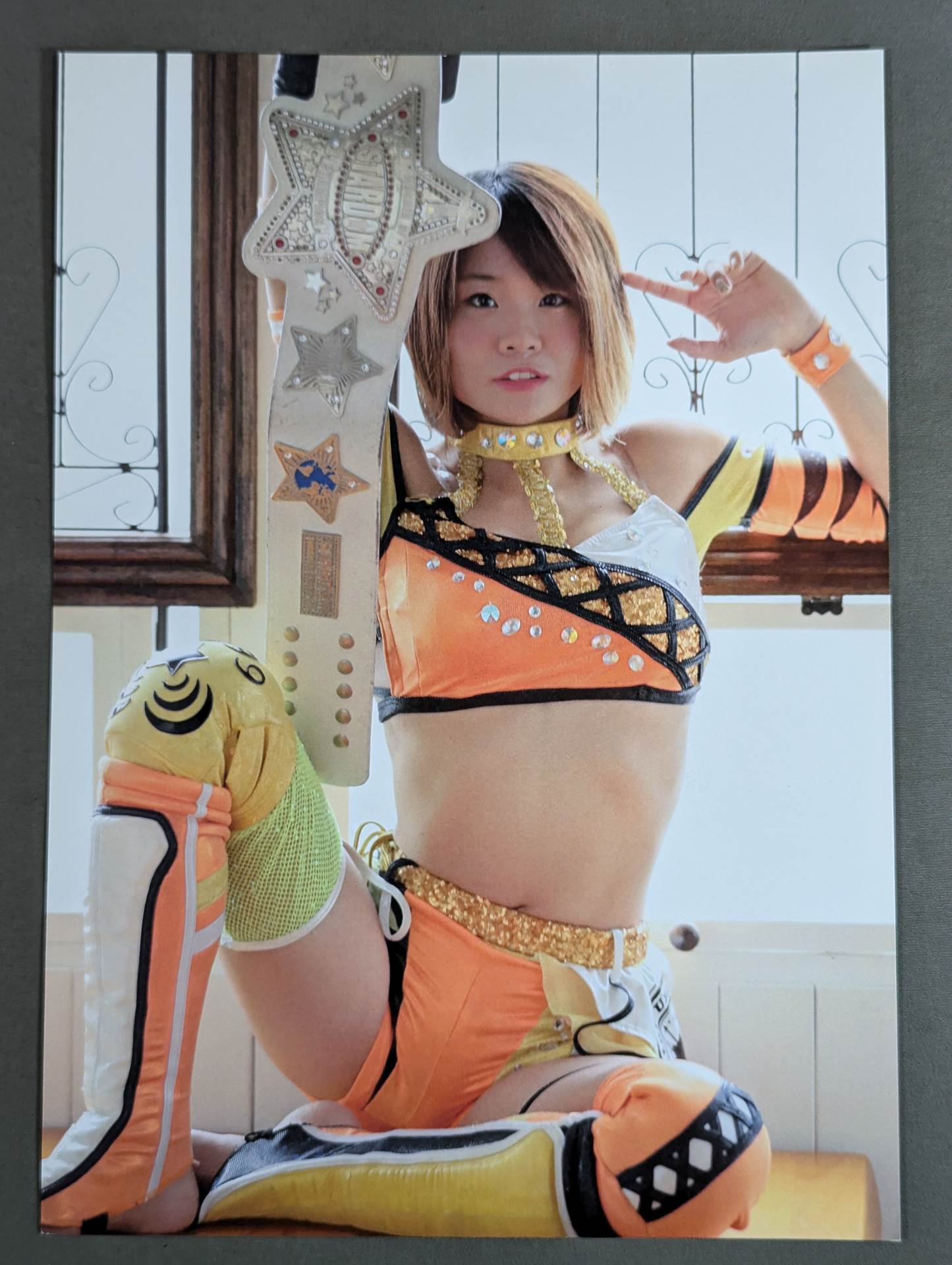 星輝ありさ ポートレート 2枚セット