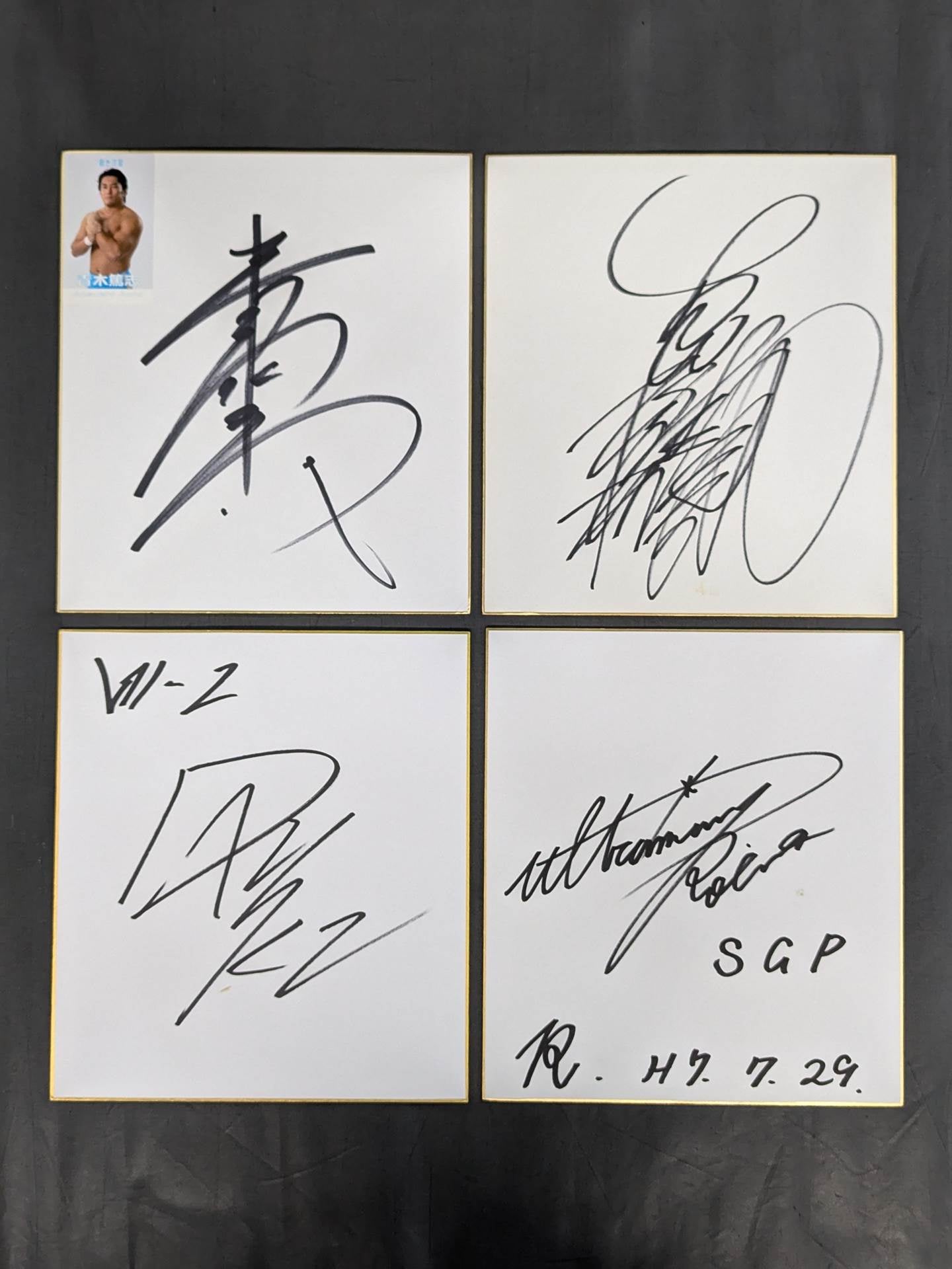 国内プロレスラー サイン色紙セット③