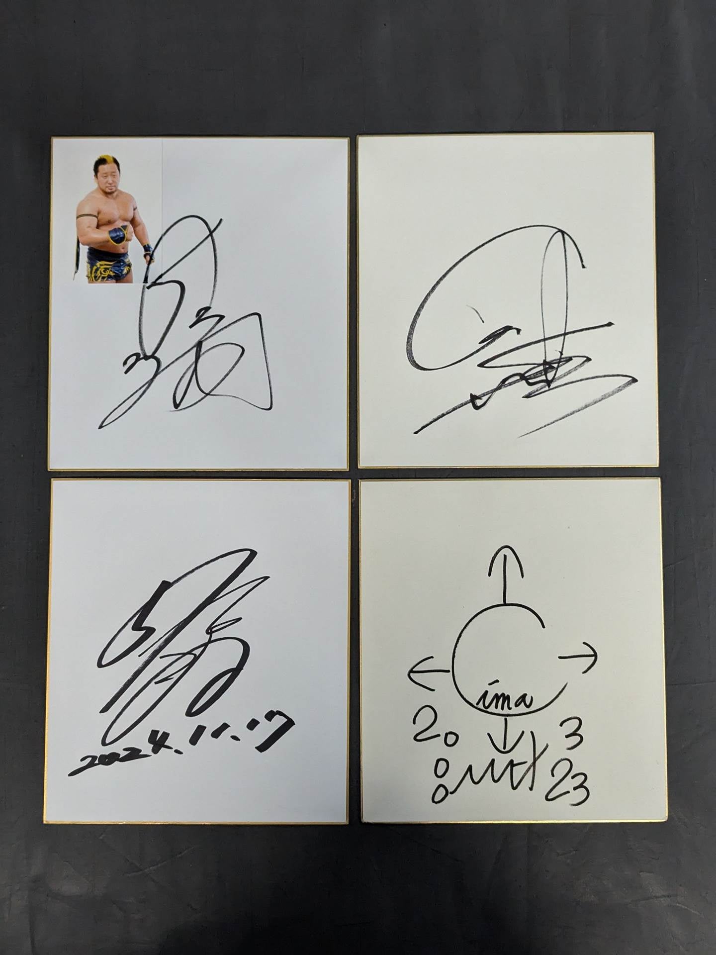 国内プロレスラー サイン色紙セット③