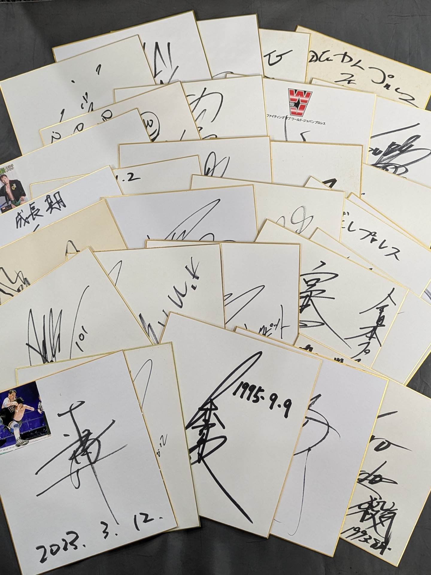 国内プロレスラー サイン色紙セット④