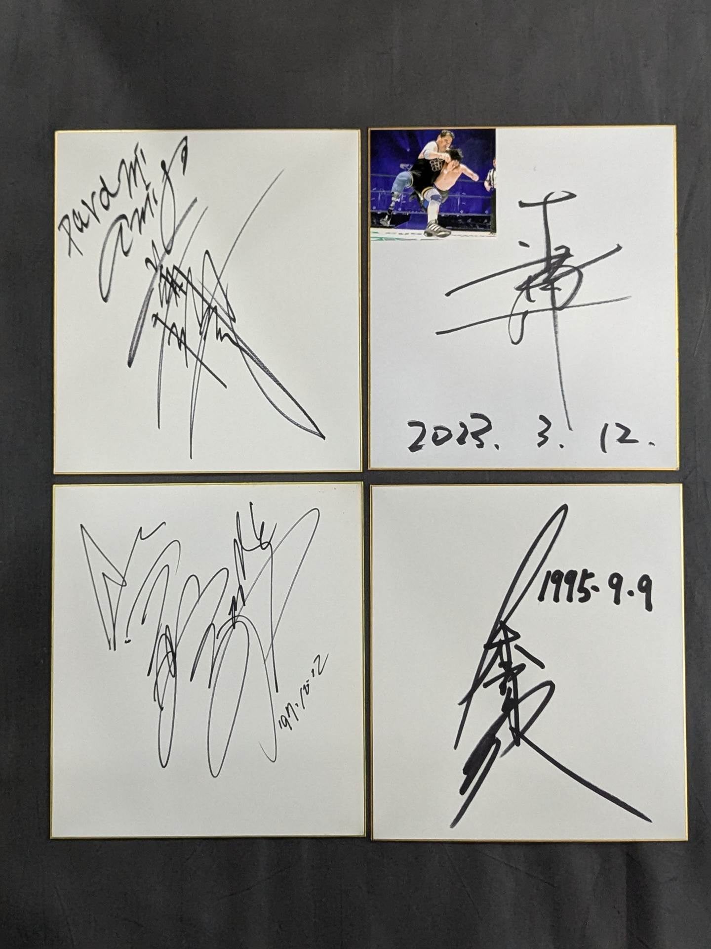 国内プロレスラー サイン色紙セット④
