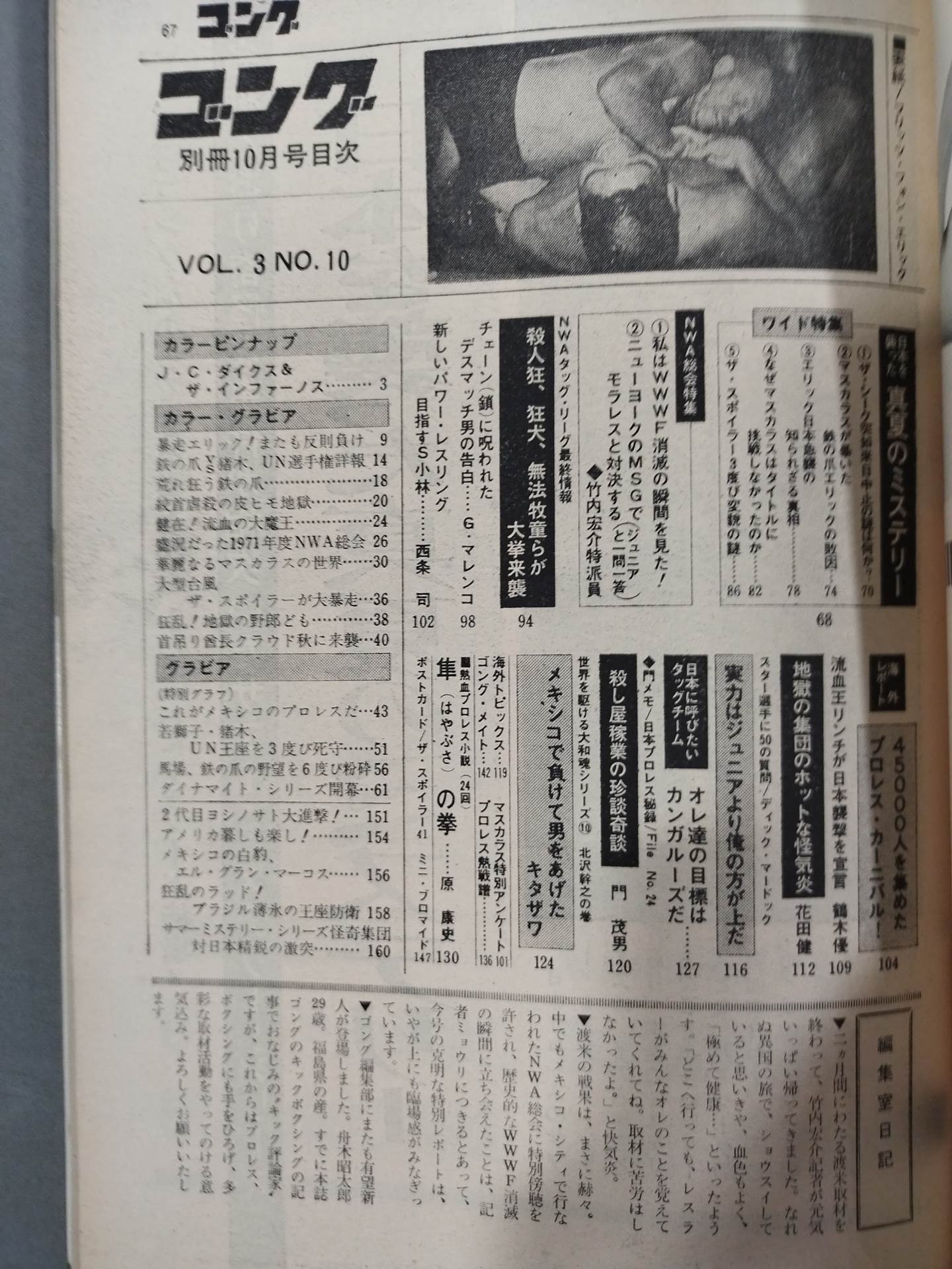 別冊ゴングVol.3 No.10