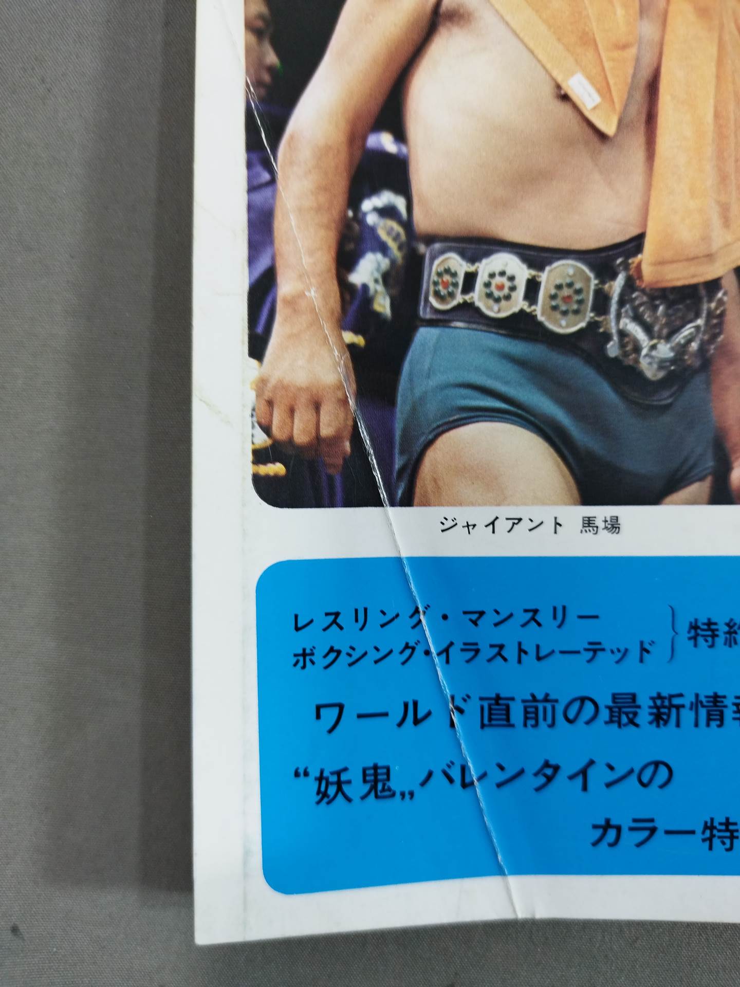 プロレス&ボクシング 1972年5月号別冊