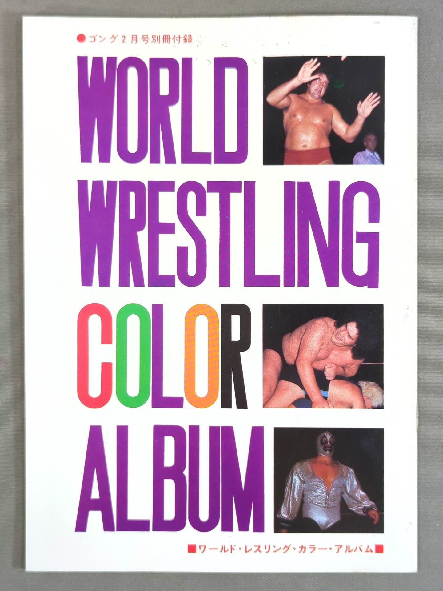ワールド・wrestling・カラー・アルバム / WORLD Wrestling COLOR ALBUM Gong Supplement 1974.5