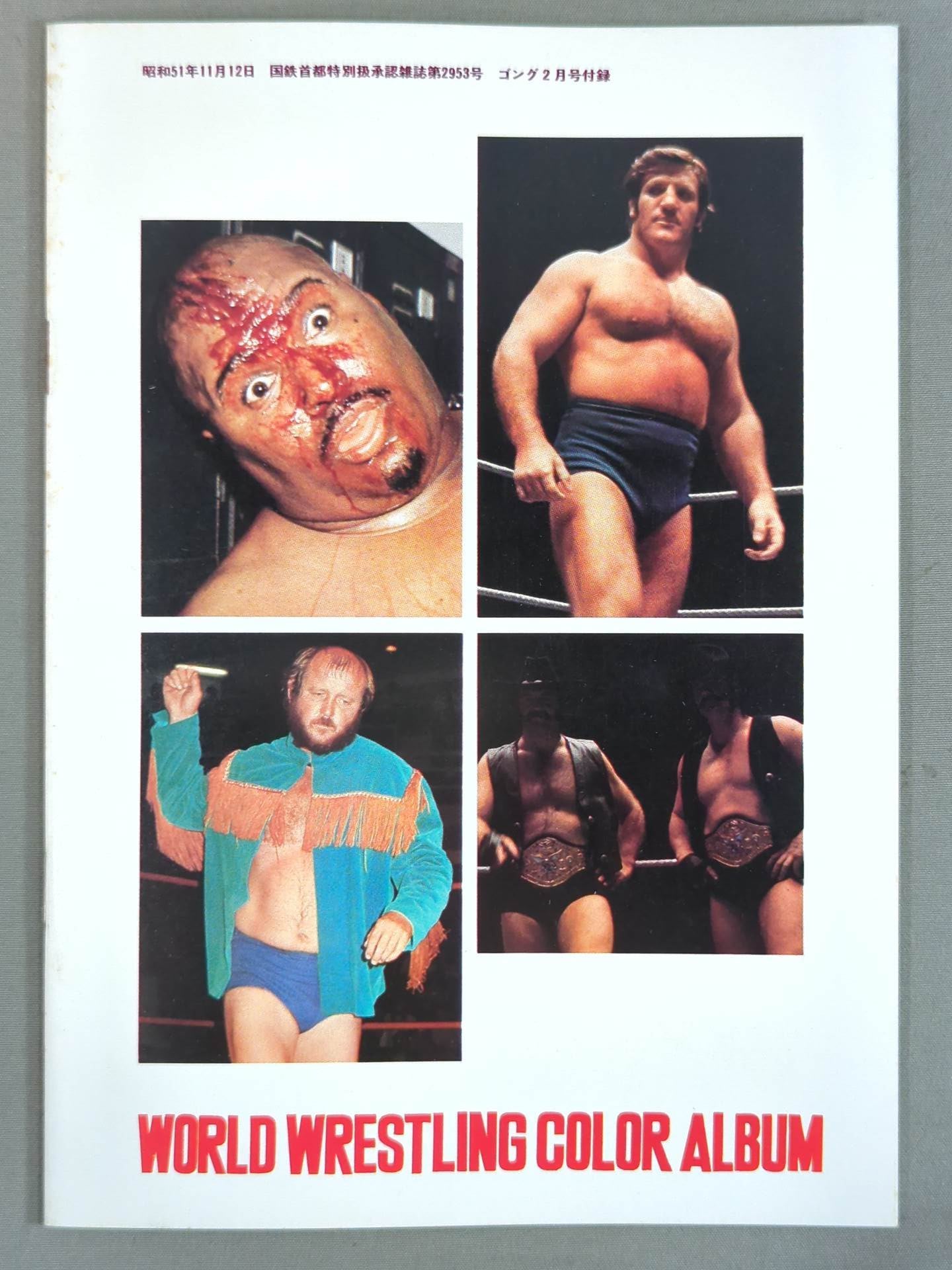 ワールド・wrestling・カラー・アルバム / WORLD Wrestling COLOR ALBUM Gong Supplement 1974.5