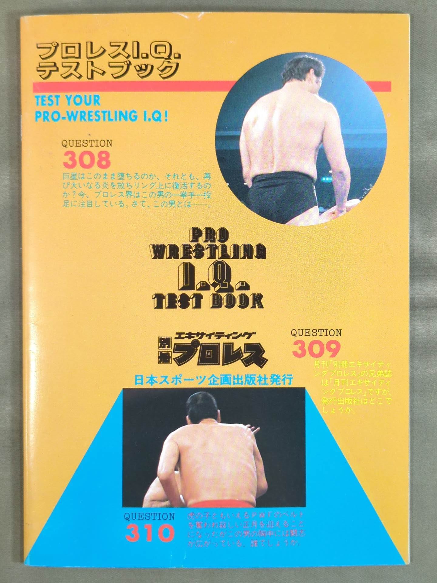 Pro Wrestling I.Q. Test Book / Deathmatch ○ Unlimited 300 Matches + α