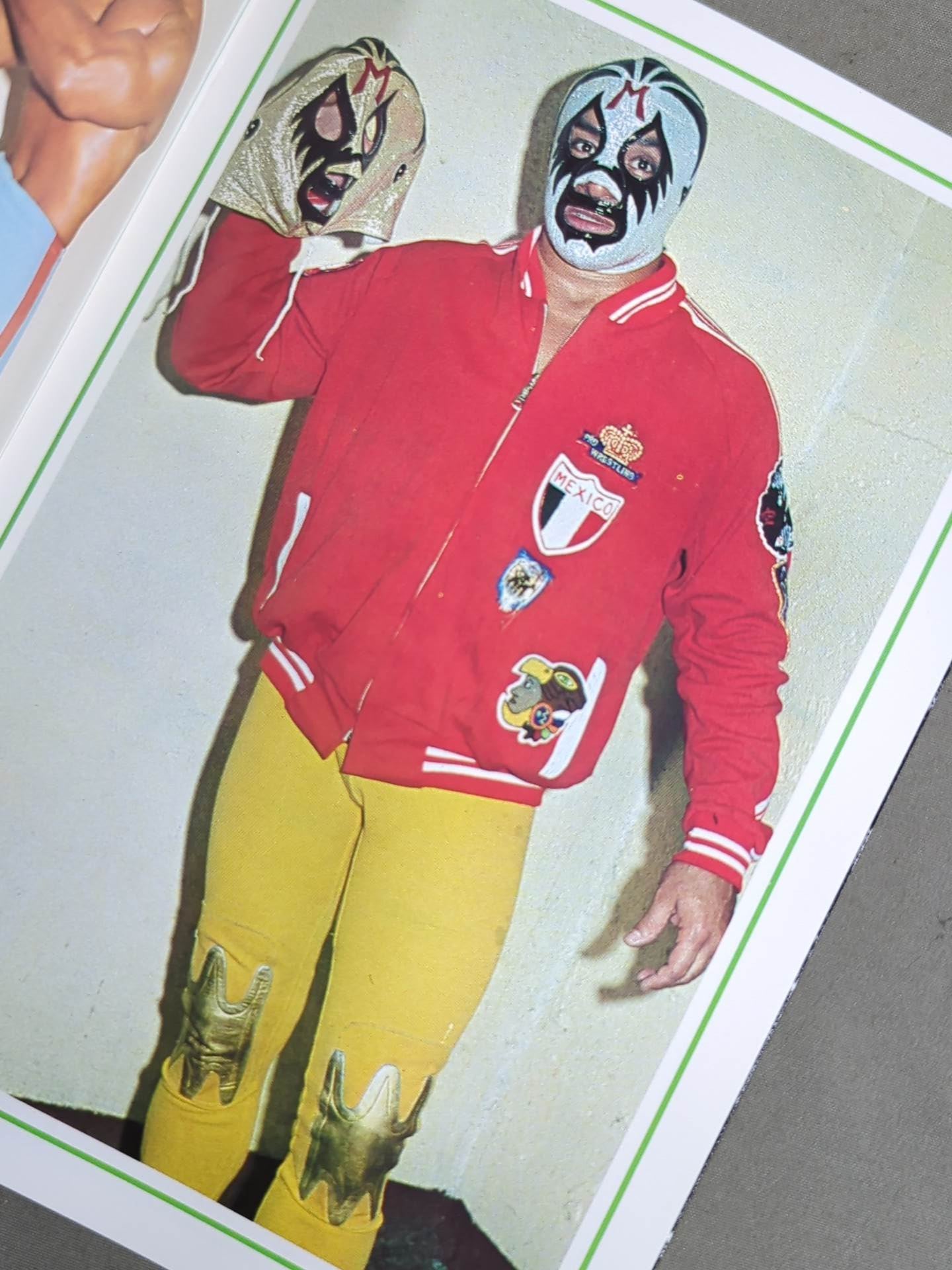 ミル・マスカラス カラーアルバム / MIL MASCARAS COLOR ALBUM(別冊ゴング9月号付録)
