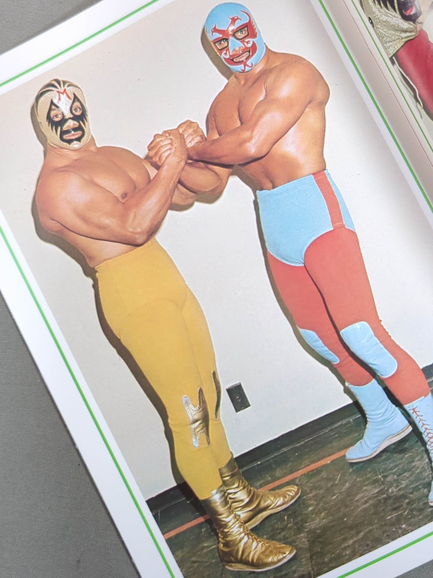 ミル・マスカラス カラーアルバム / MIL MASCARAS COLOR ALBUM(別冊ゴング9月号付録)