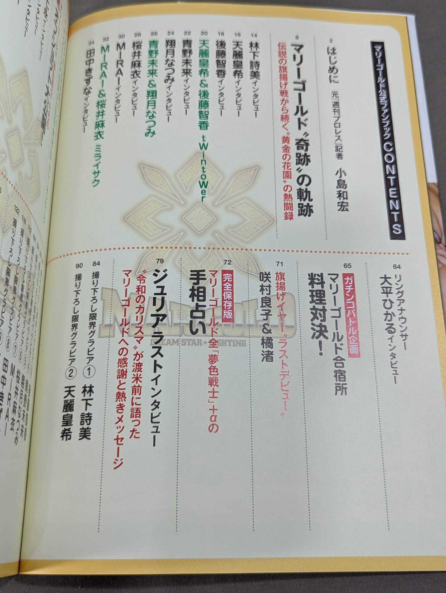Marigold Official Fanbook