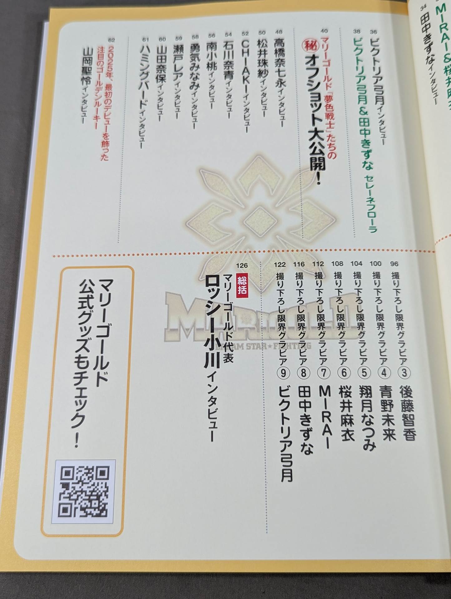 Marigold Official Fanbook