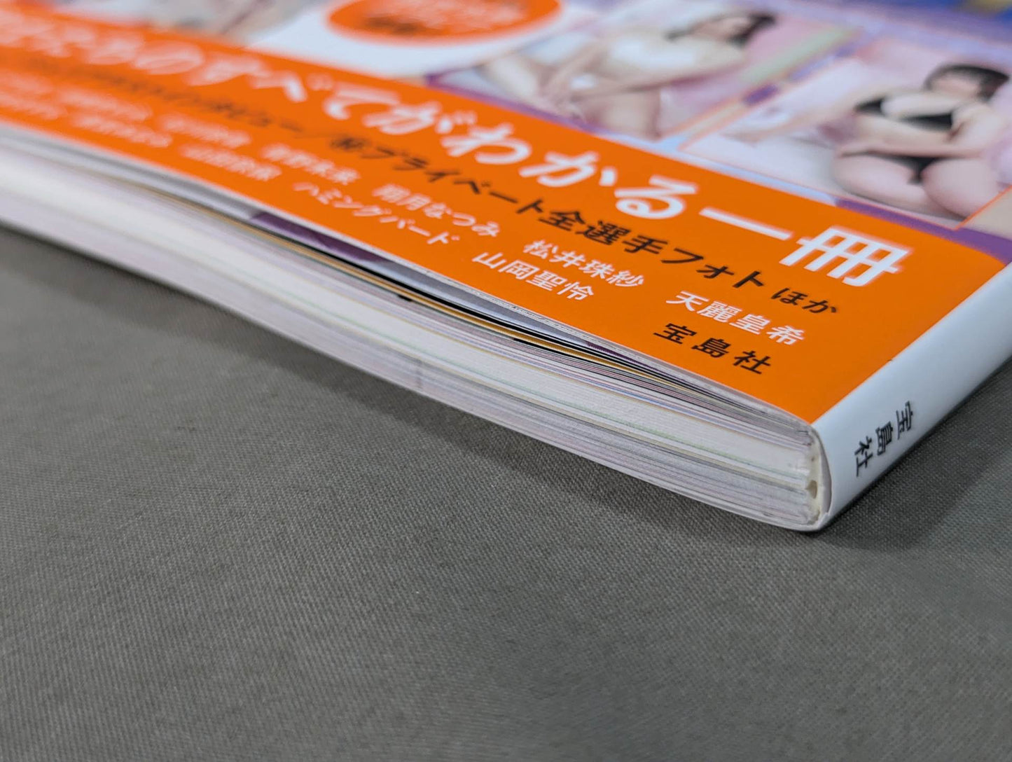 Marigold Official Fanbook